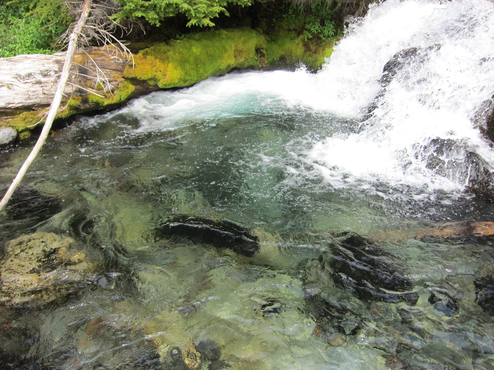 I am sure that water is so cold.  But so clear!