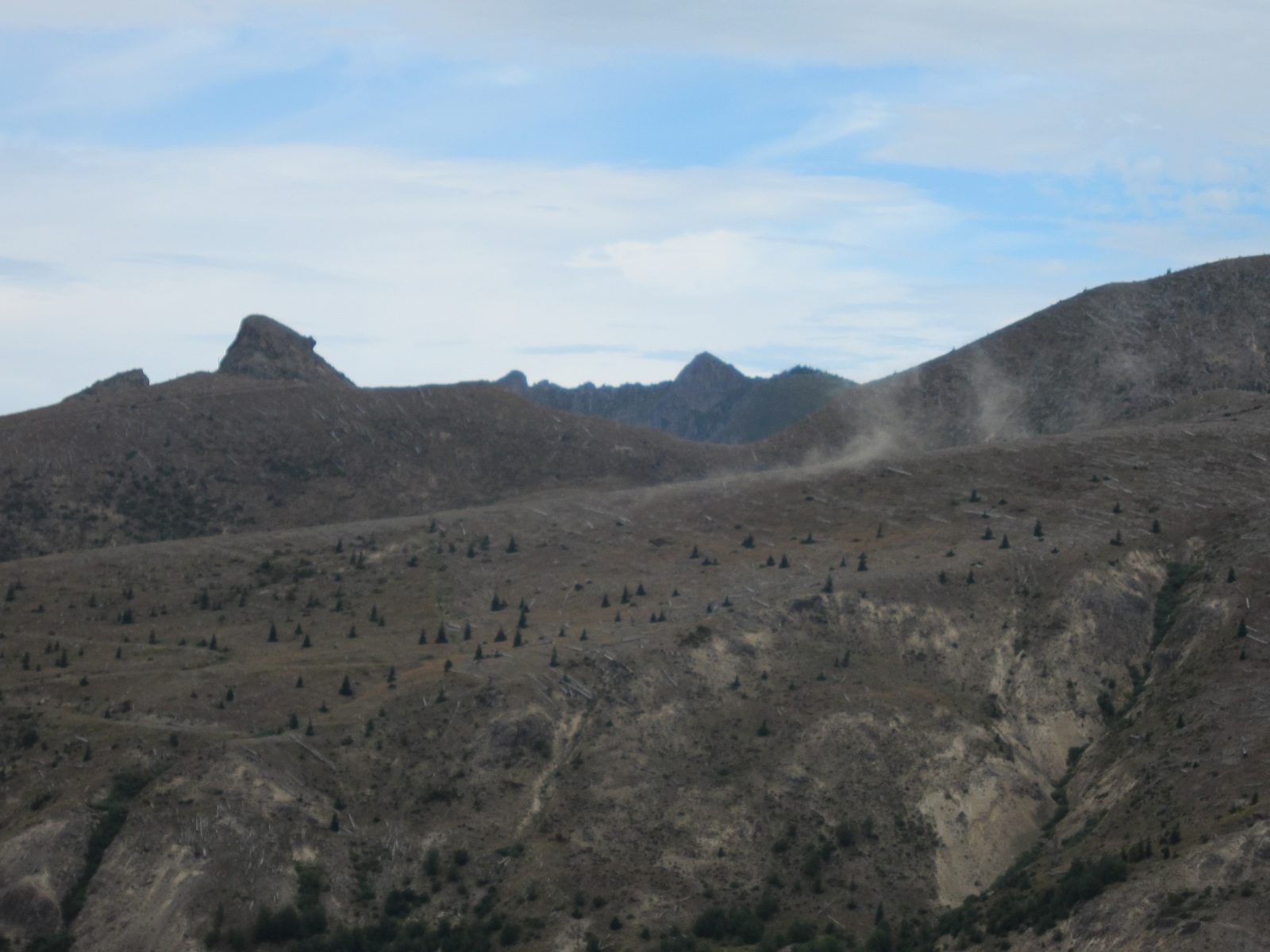 At first glance, I thought there was a fire on the mountains behind us.  But then we saw animals...
