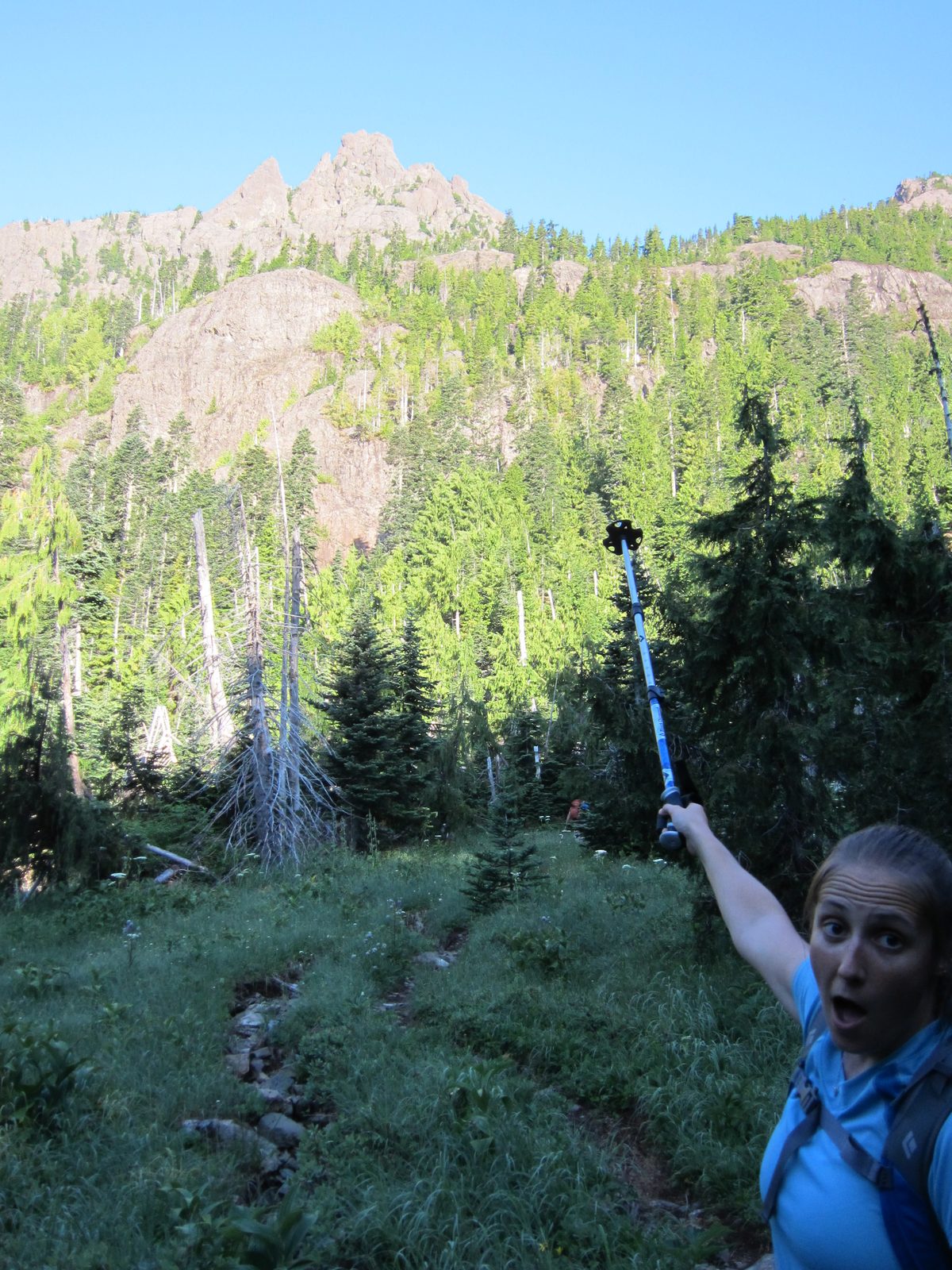 We came out into a meadow and again scoped out the summit.