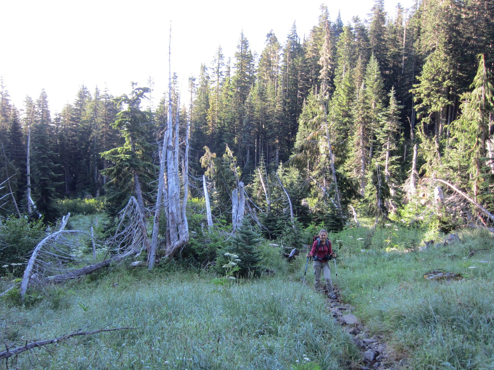 Terra hiking through the meadow.