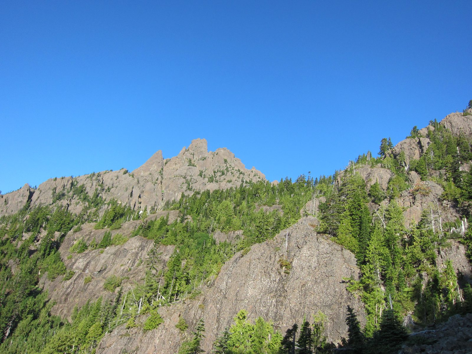 I believe those rocks are the ones I saw goats scampering up to a couple weeks back on the Mt...