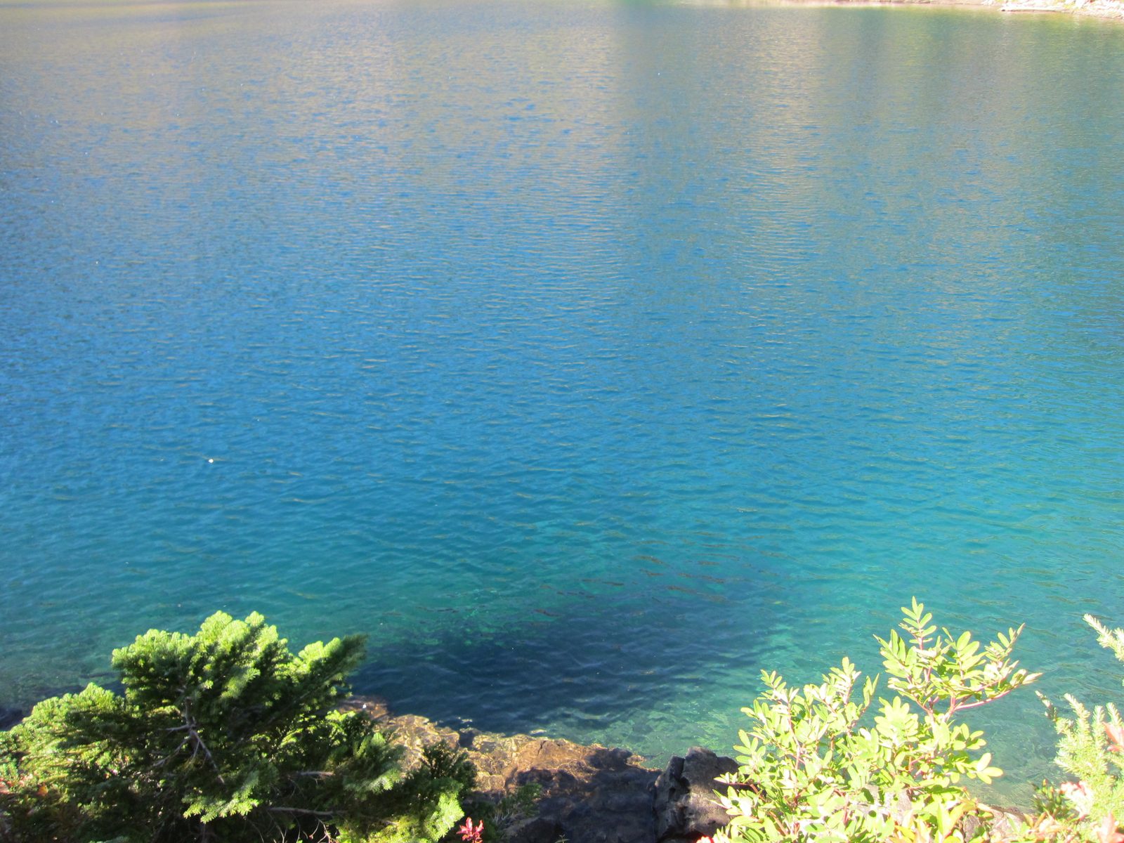 The water was beautifully clear.