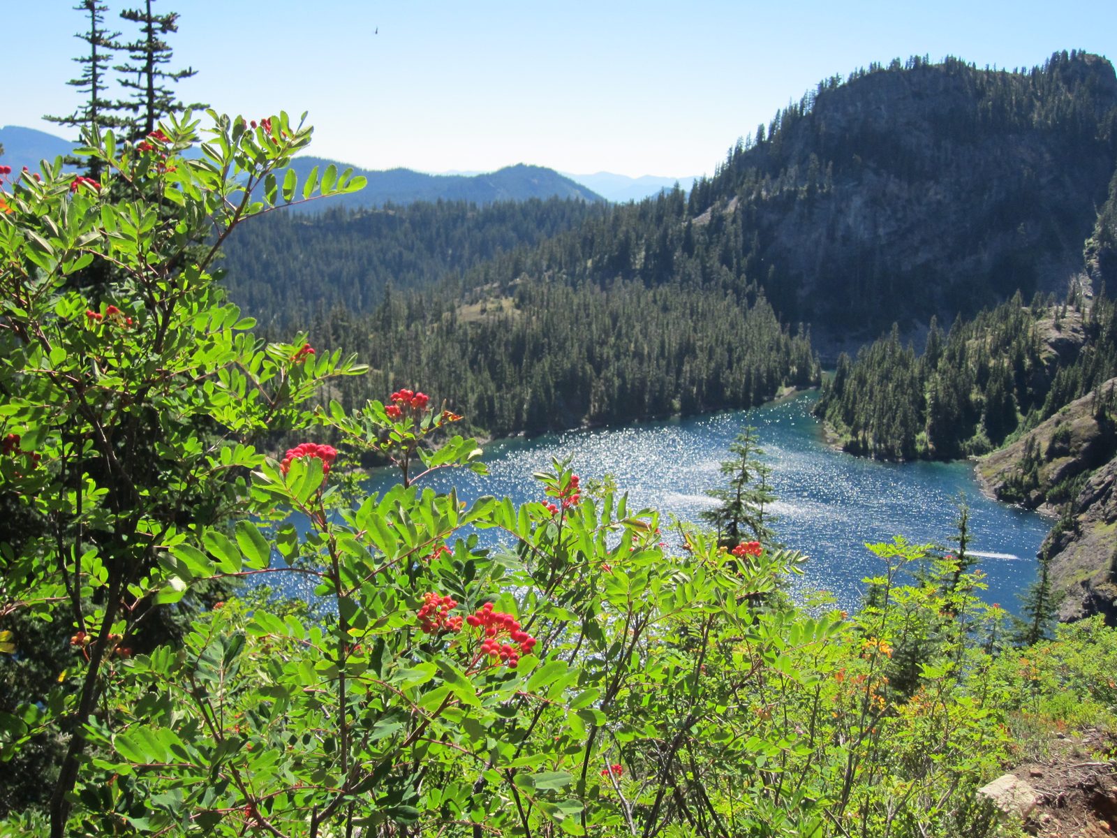 Berries and Rachel Lake.