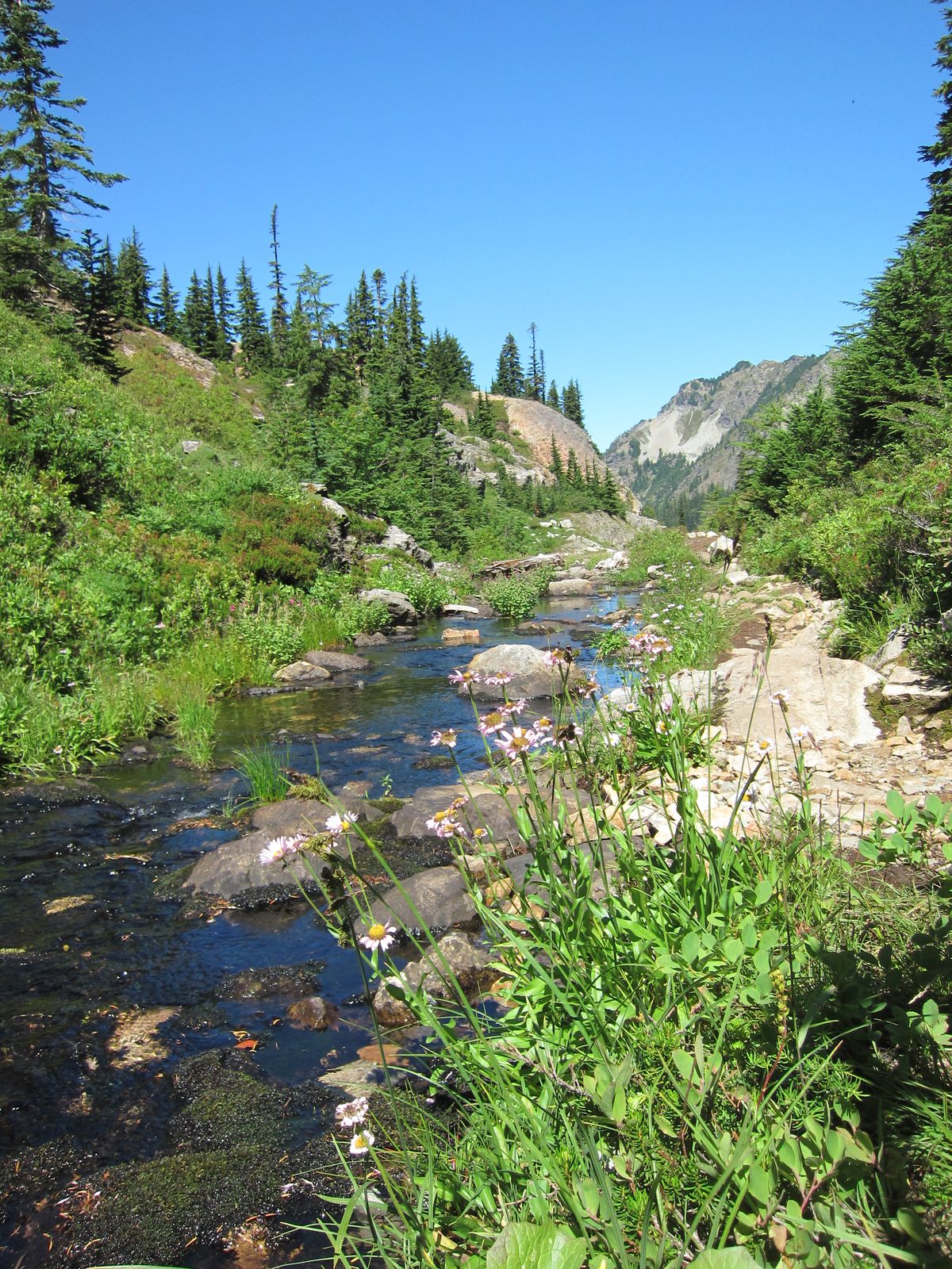 A stream between the lakes.