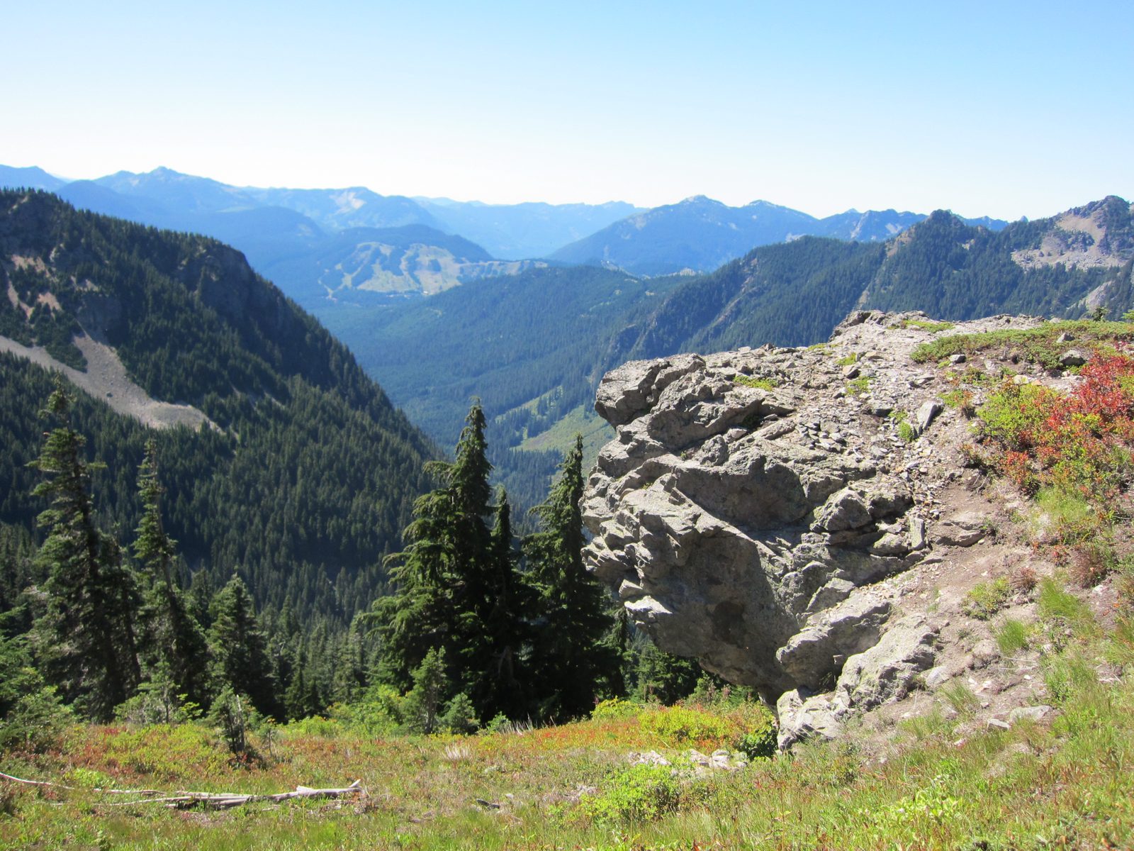 Having been told that Mt Rainier could be seen by going just a short ways up towards Alta Peak,...