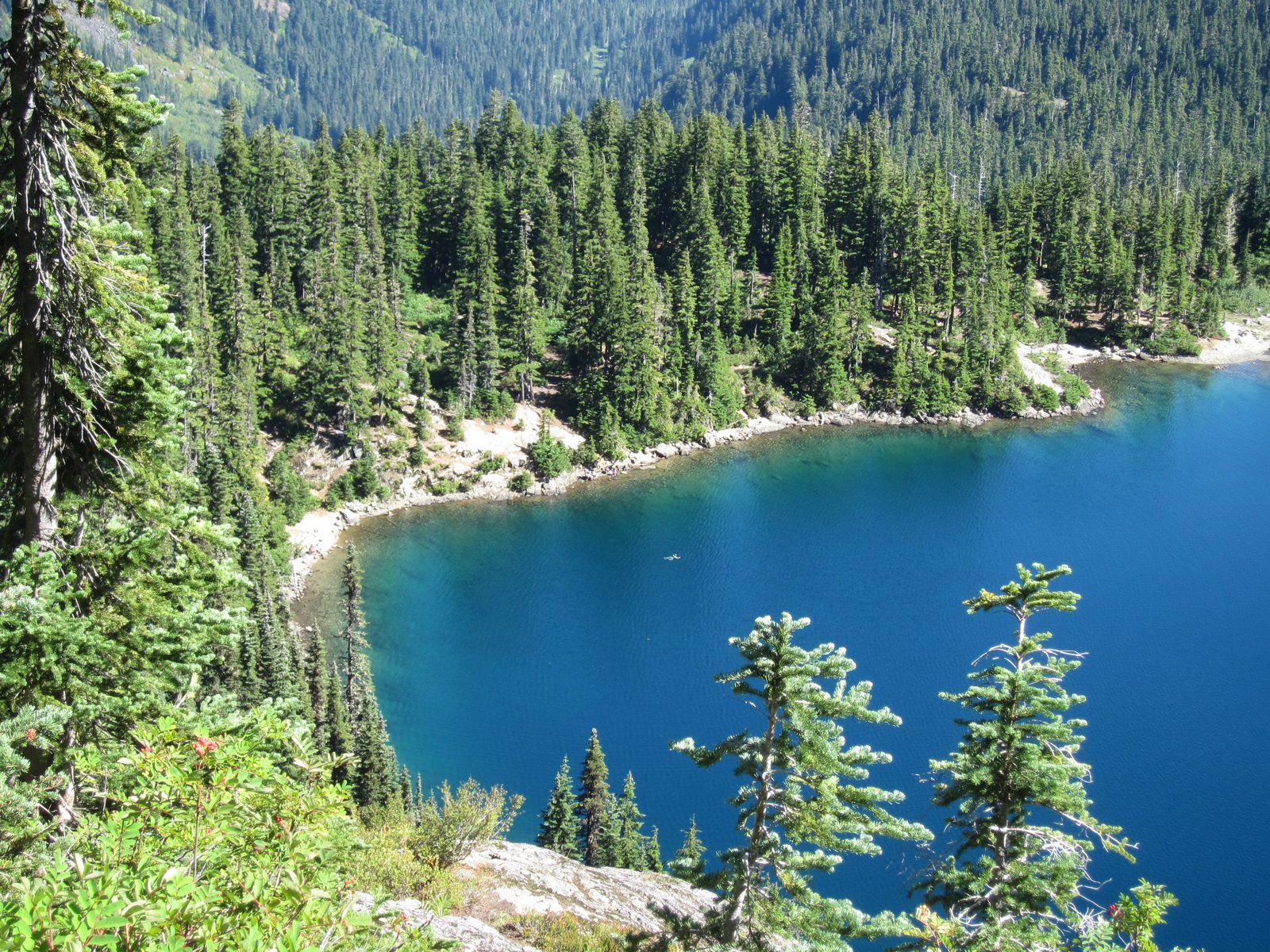 Some brave soul had swum well out into Rachel Lake. Brr!