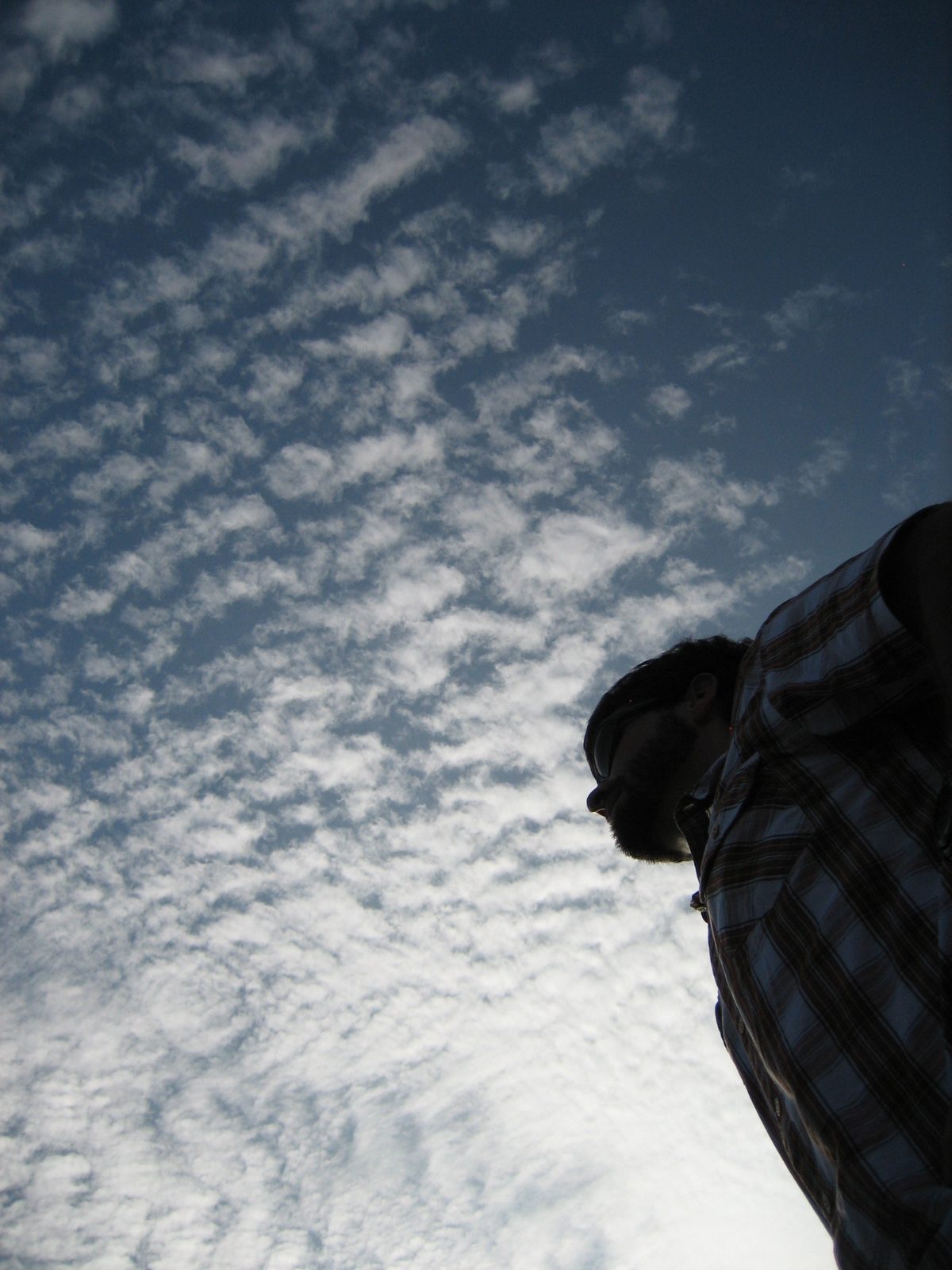 Mighty man ponders the yonder.