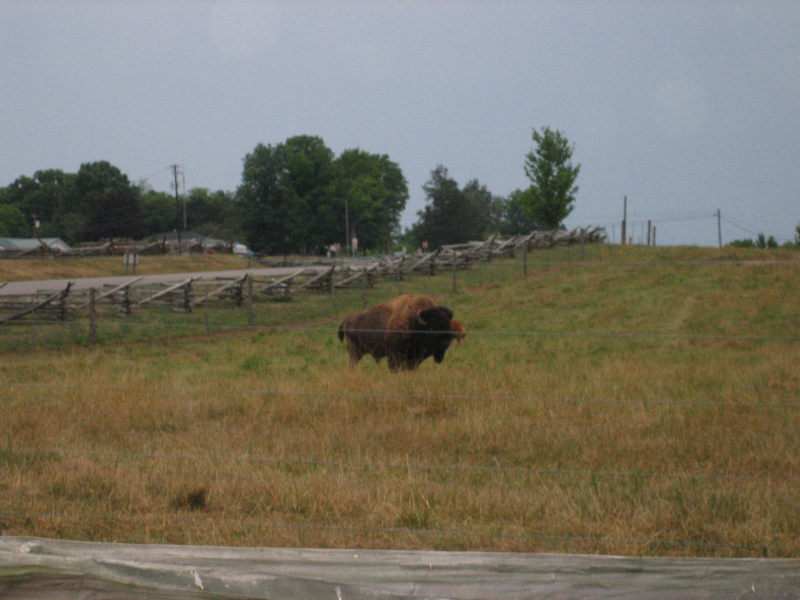 This guy? Was big.