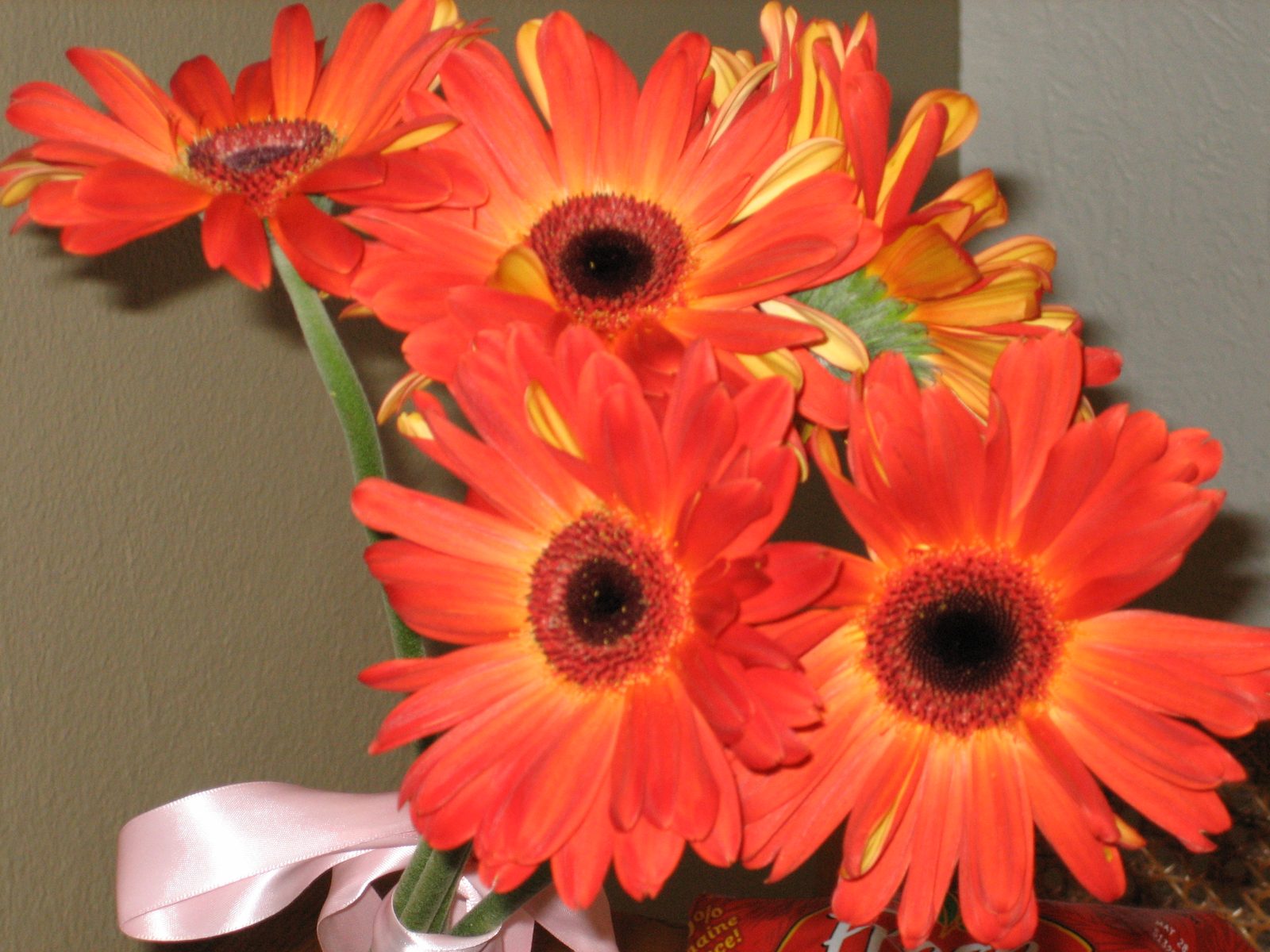 Flowers from Lisa