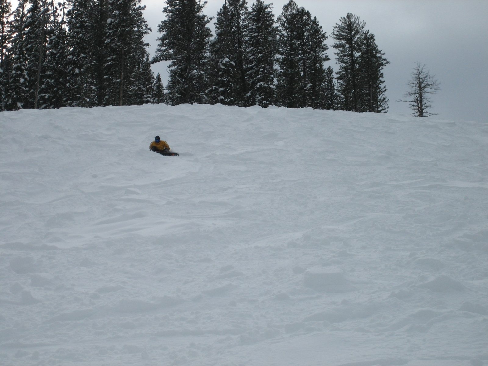 Jay taking a break in some mad pow near the Lone Moose lift the day after Christmas