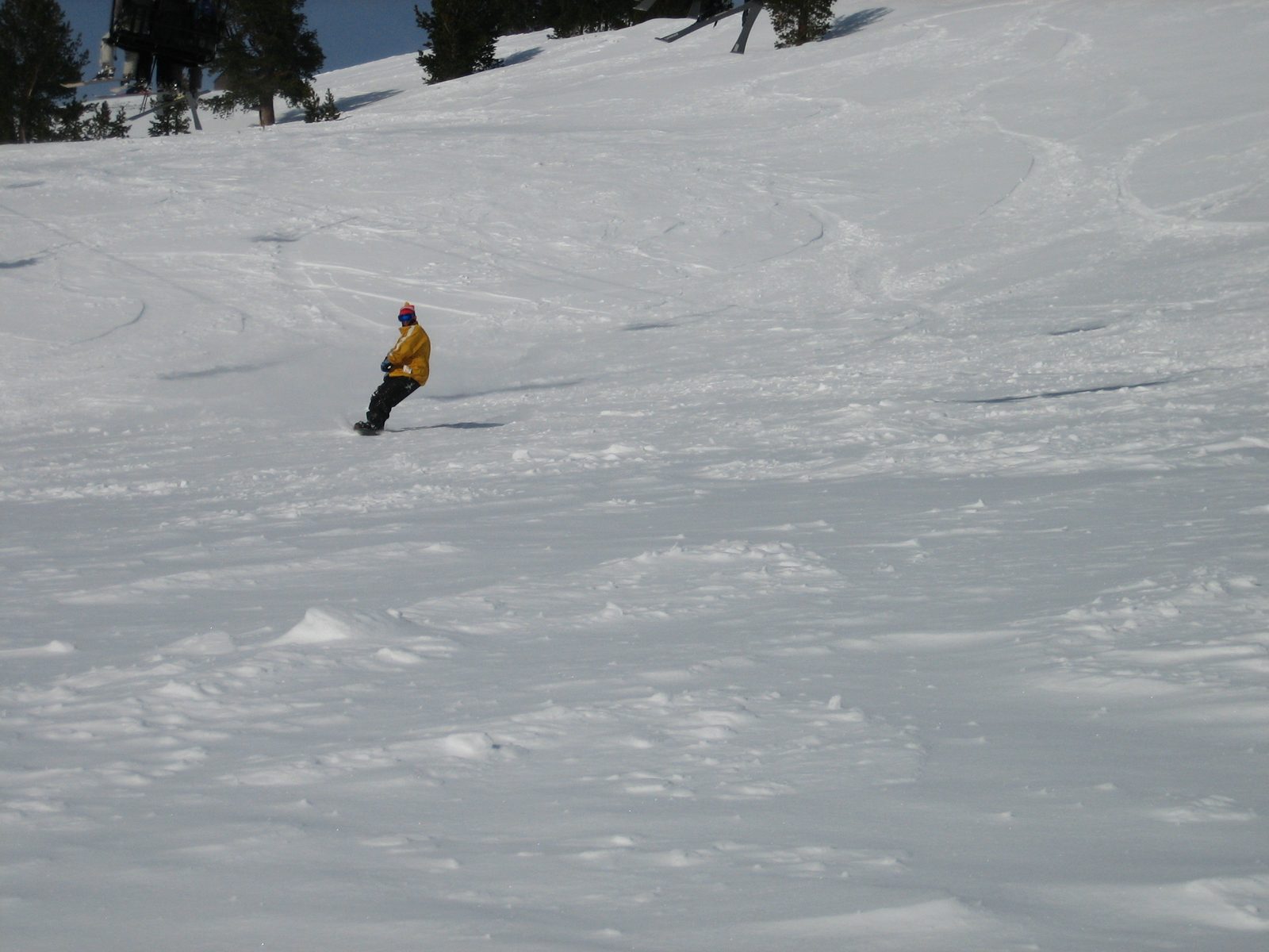 More fresh tracks