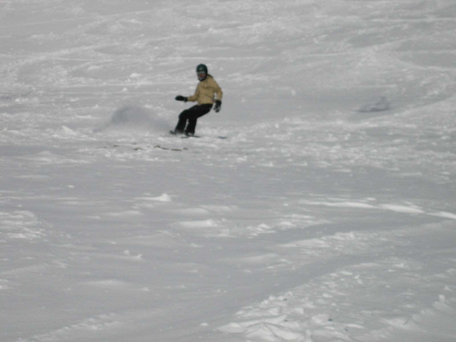 I think the picture is a little blurry, but still pretty fun.  The snow was so nice that day.