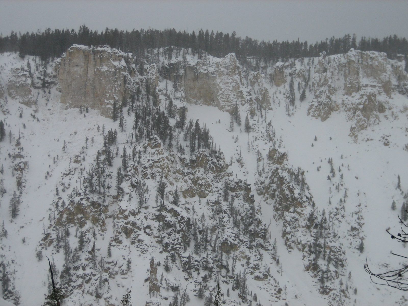 The yellow stone of Yellowstone?
