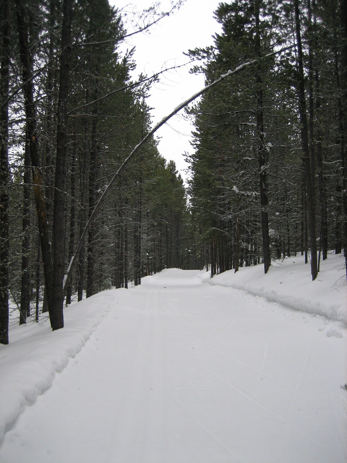 A lovely road to travel down (or up), eh?