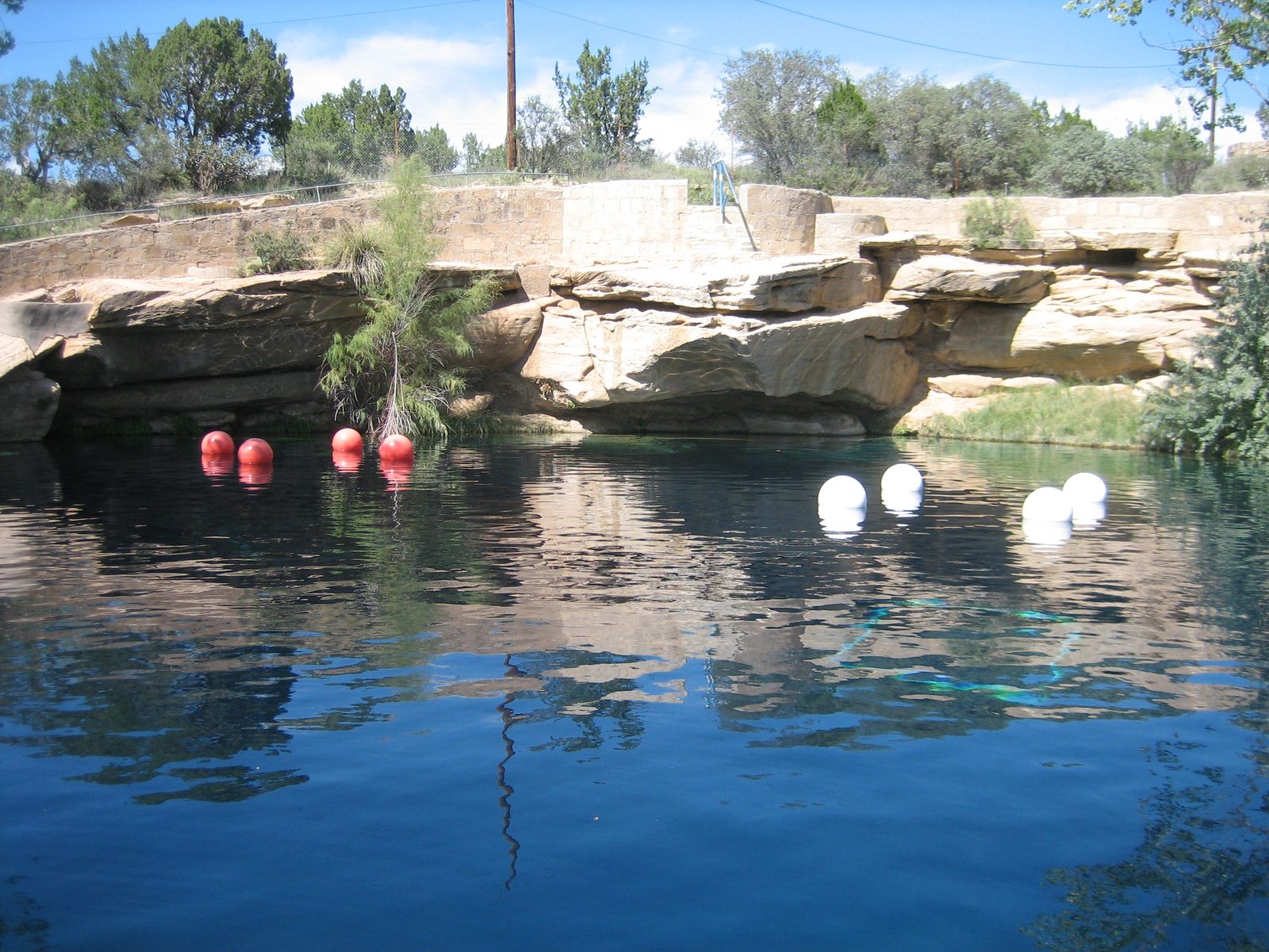 The buoys were in place for something SCUBA-related.  My guess was that it allowed divers to...