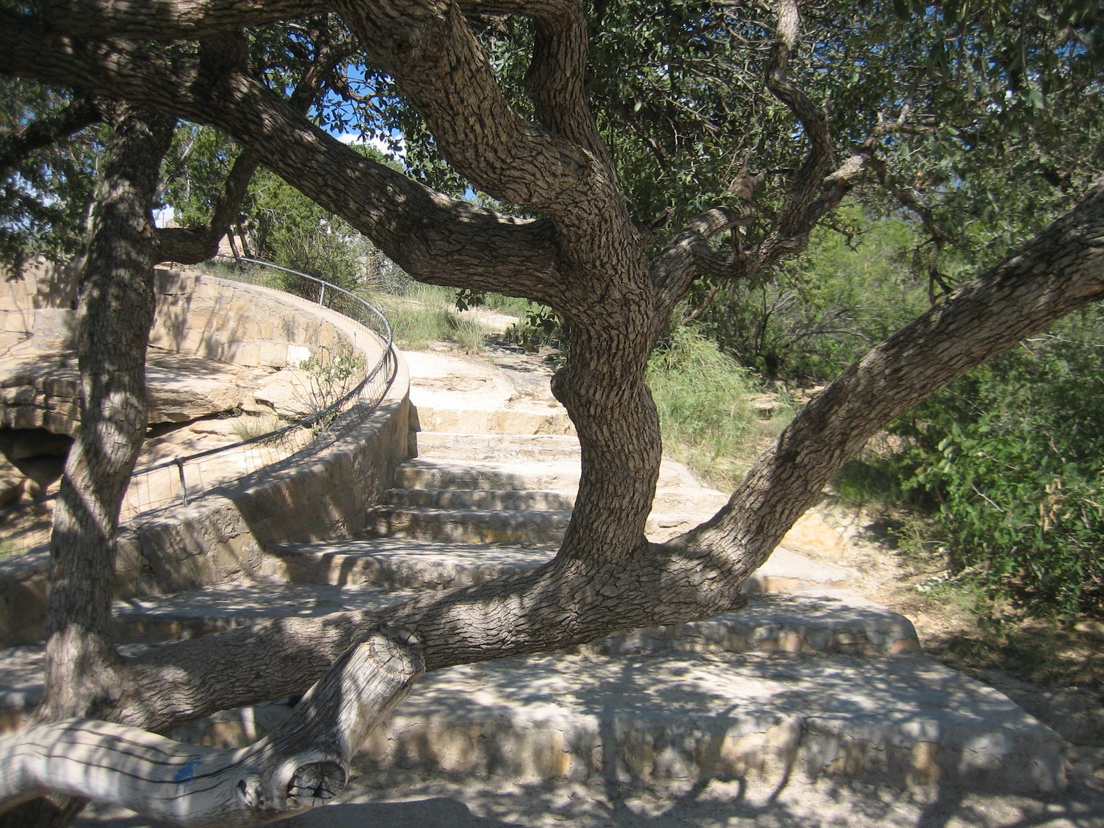 The path up to the top of Blue Hole