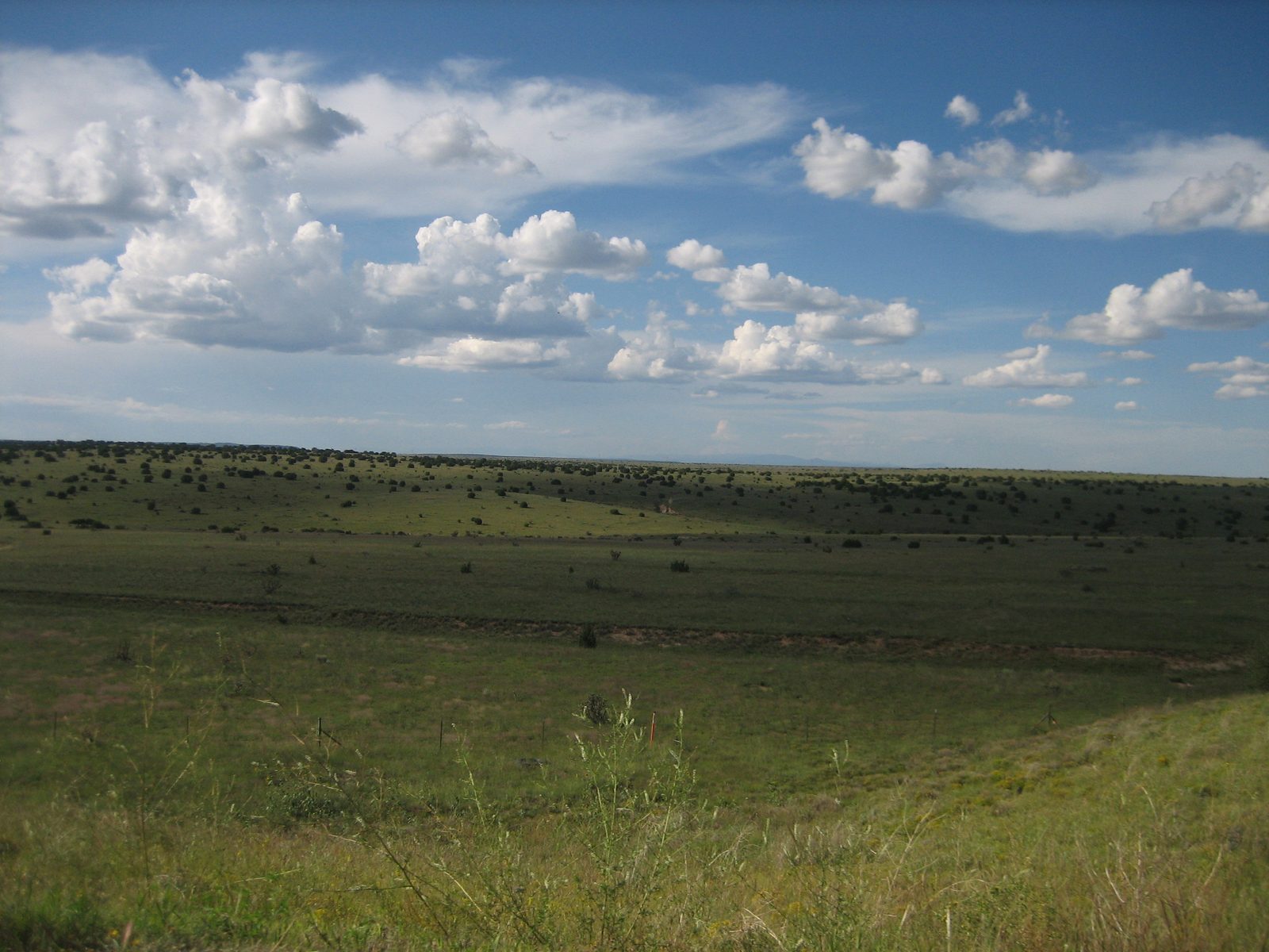 New Mexico countryside