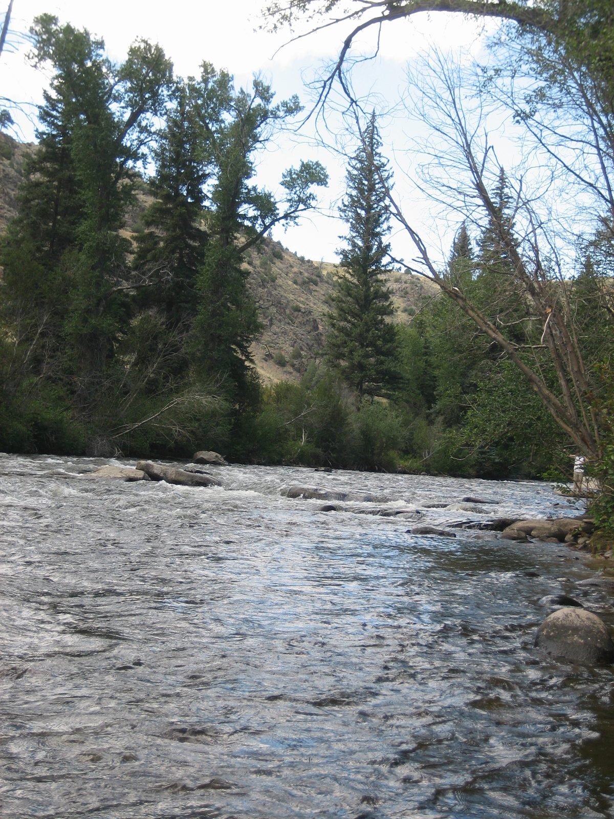 Way up there, you can see Jay fishing