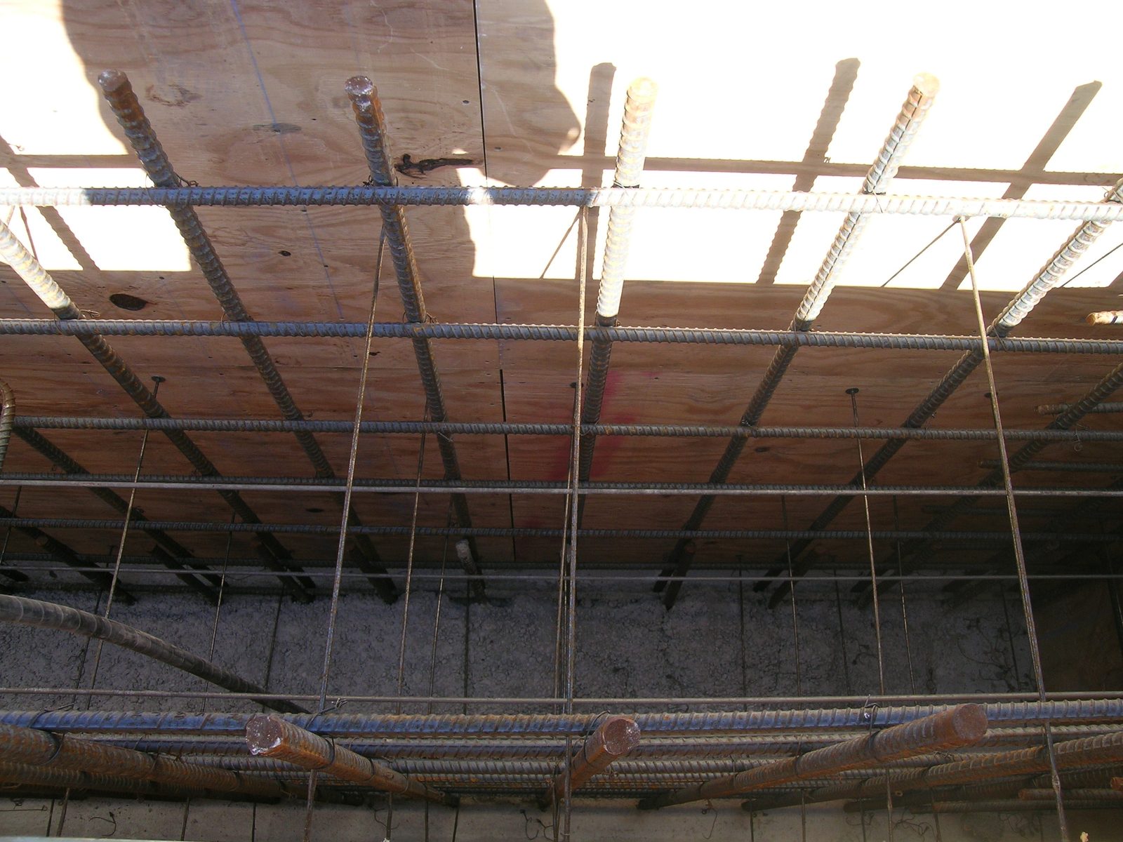 That right there is my shadow.  And those tiny spaces between all those rods?  Is where I was...