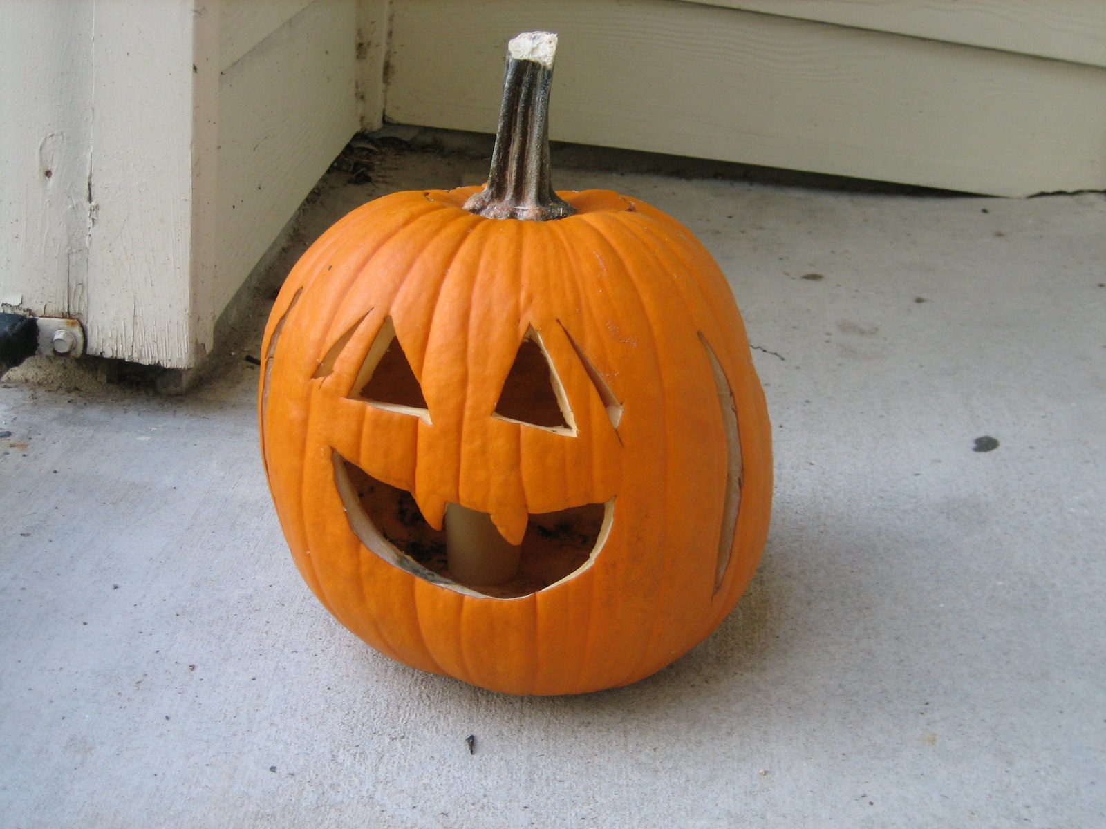 Mr. Pumpkin, pre-snails.  His name was Harold.