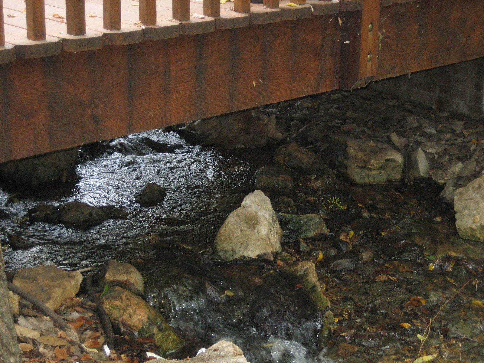 A view of the creek running through the garden, and one of the very pretty bridges crossing it.