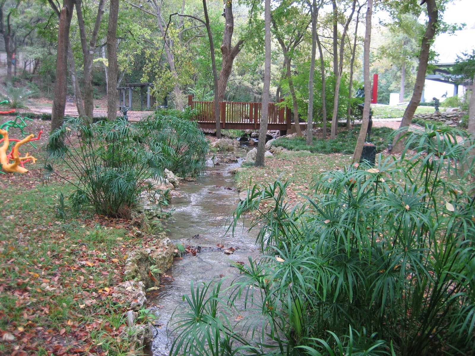 Looking up the stream...