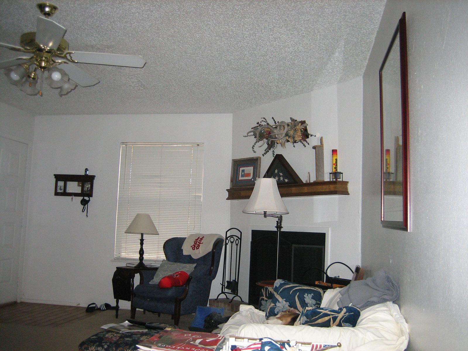 You can only barely see him, but there is a sleepy pup on that couch.  He did nothing to disuade...