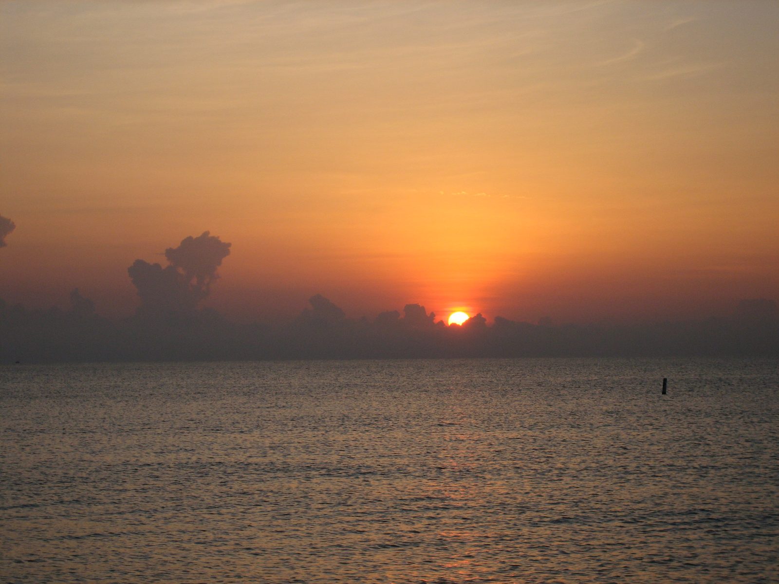 More sunrise...