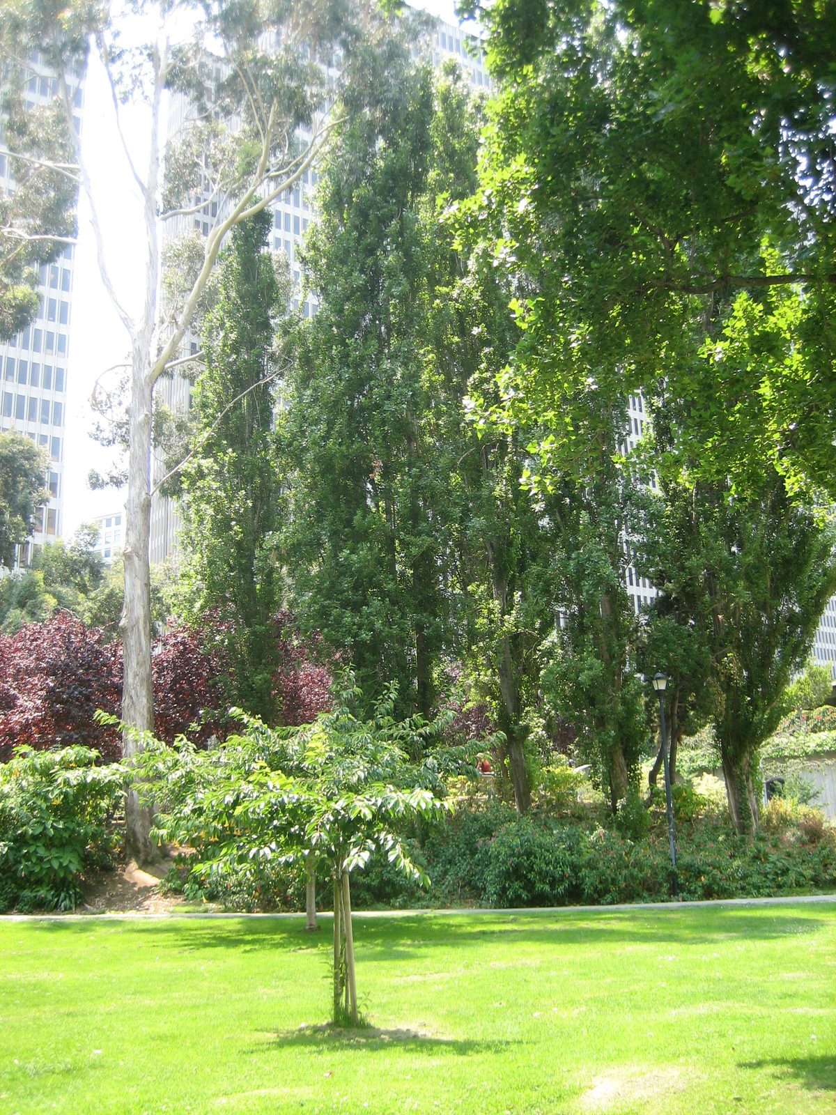 Nice park within the city.