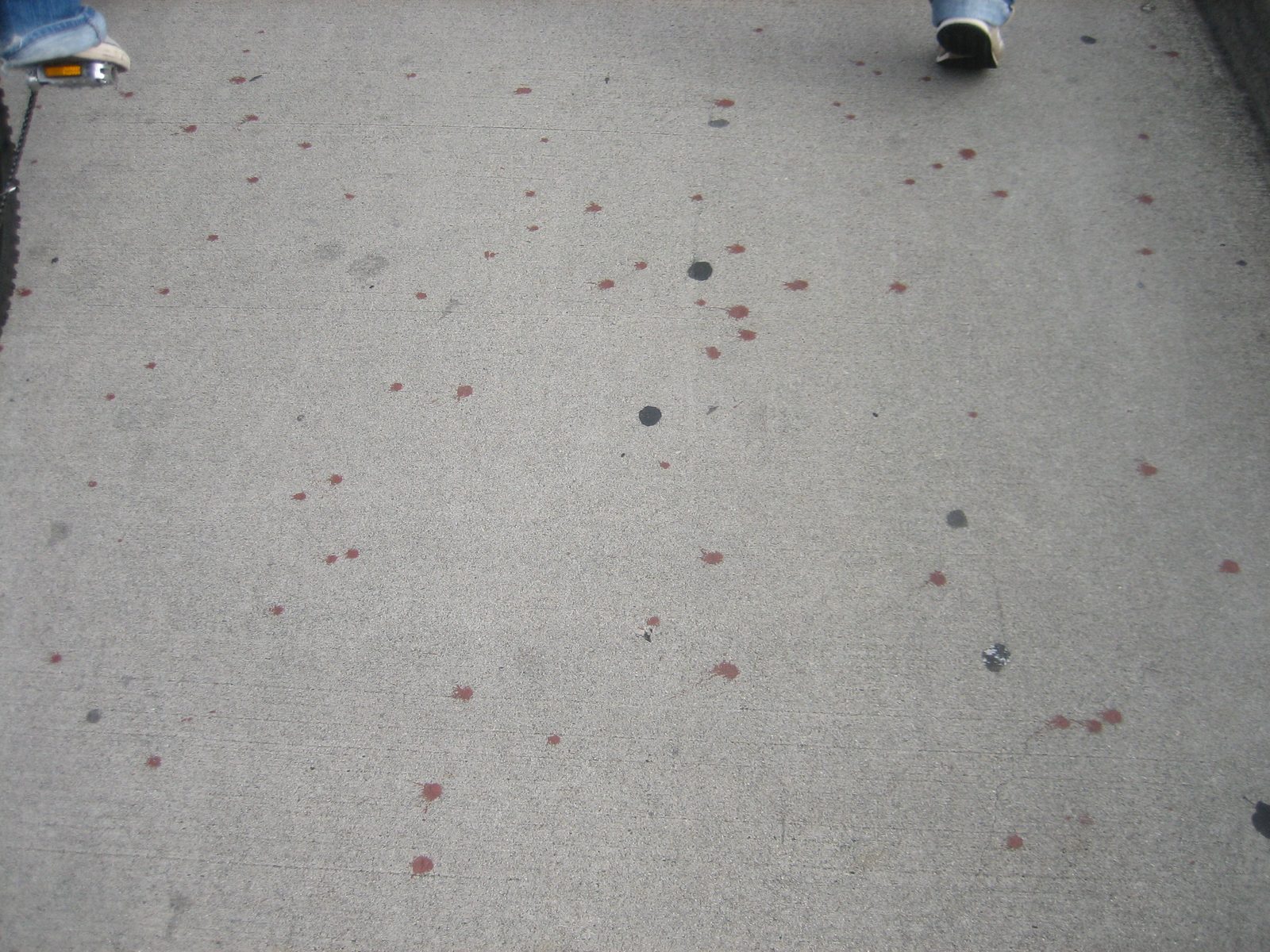 Hmm.  I don't think I want to be around when they repaint the bridge, if this is the mess that...