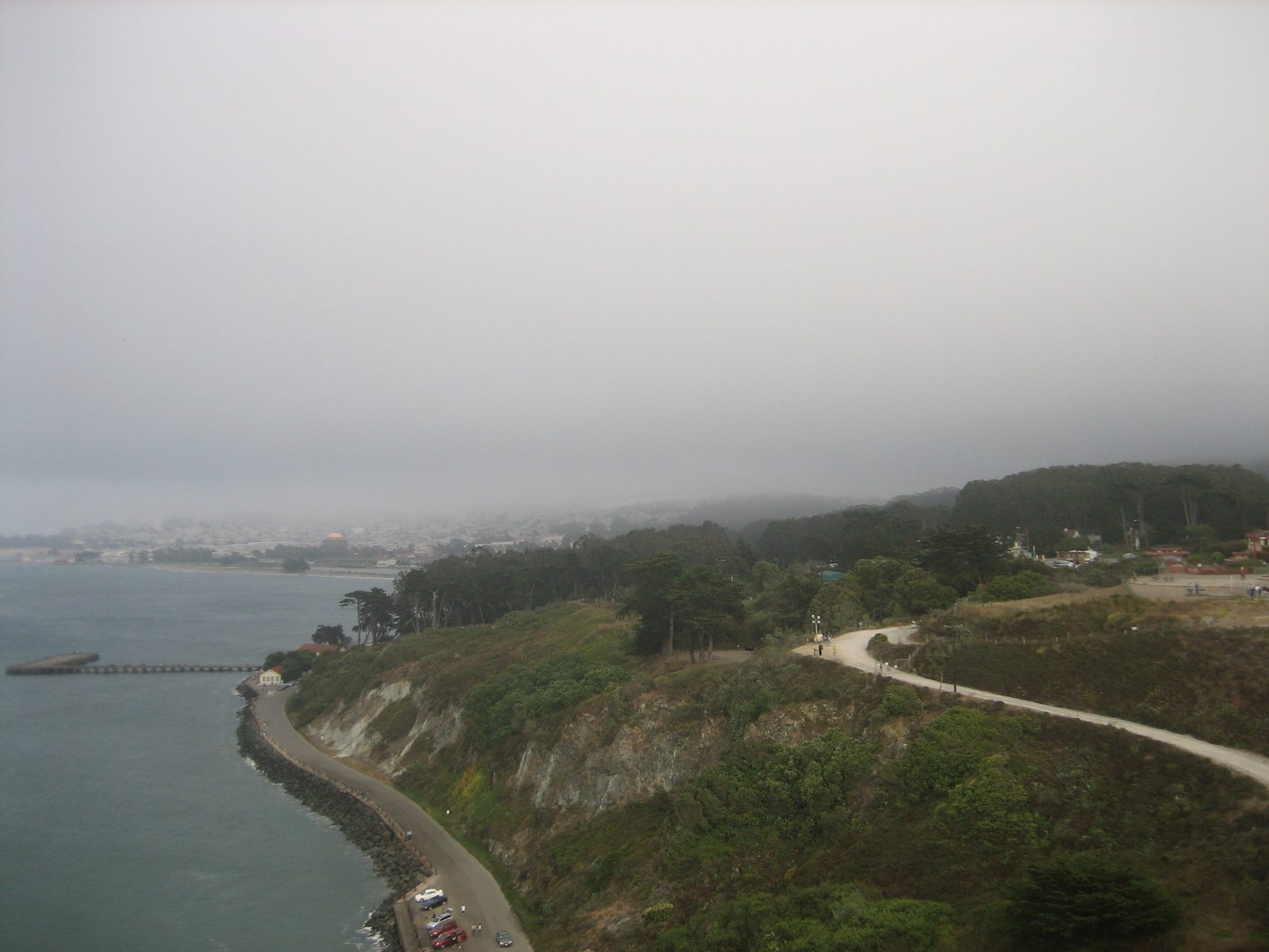 Looking back towards the city, through the Presidio.
