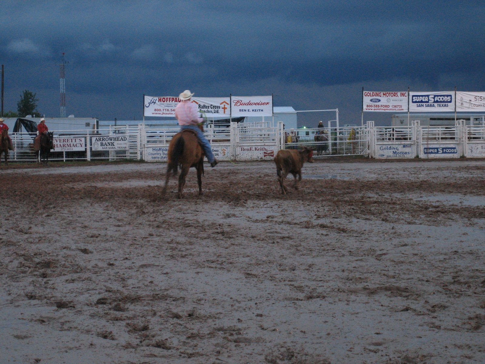 Poor muddy little cows.