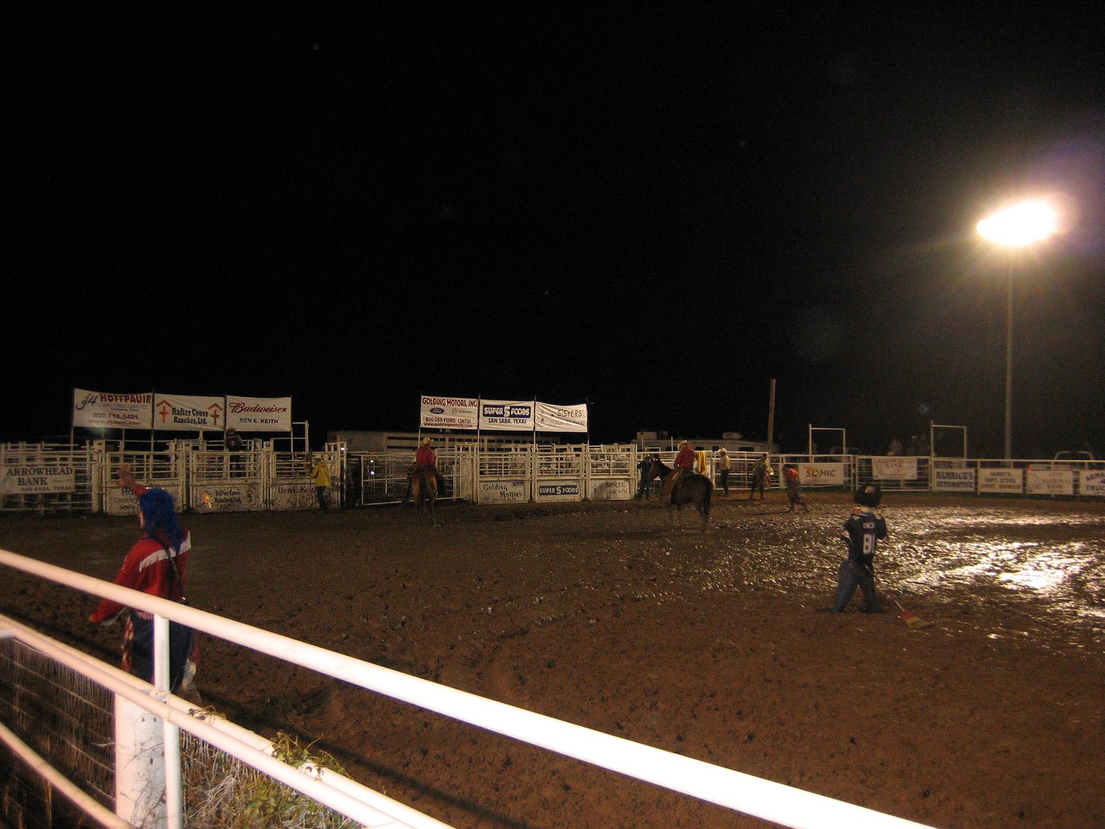 The very last of the rodeo: the last bull is herded back into the corral.