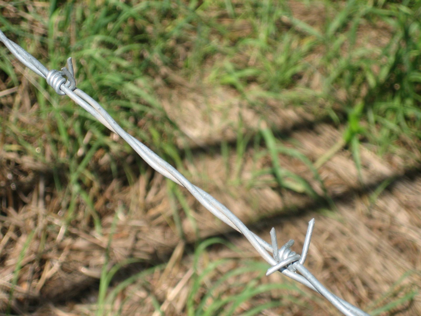 Yay barbed wire fences!