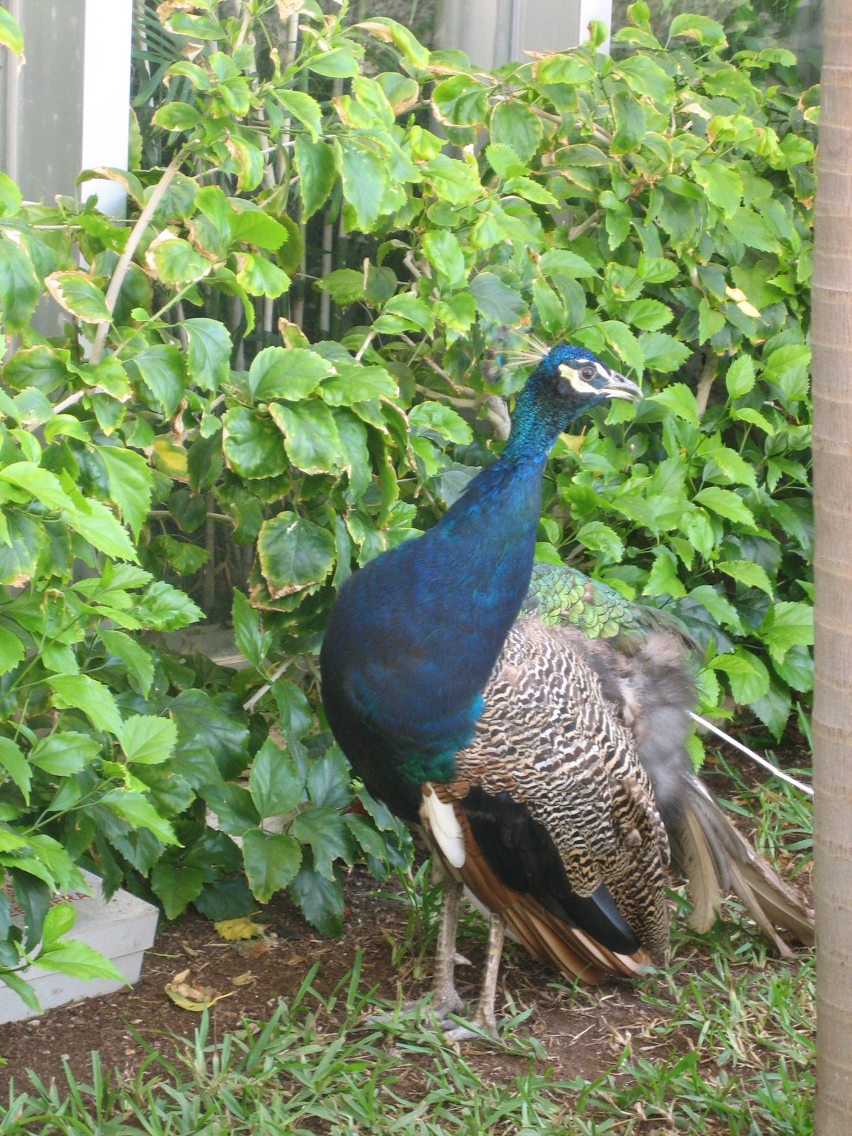 It was easy to spot those who were new to the hotel, because they spent 15 minutes upon arriving...