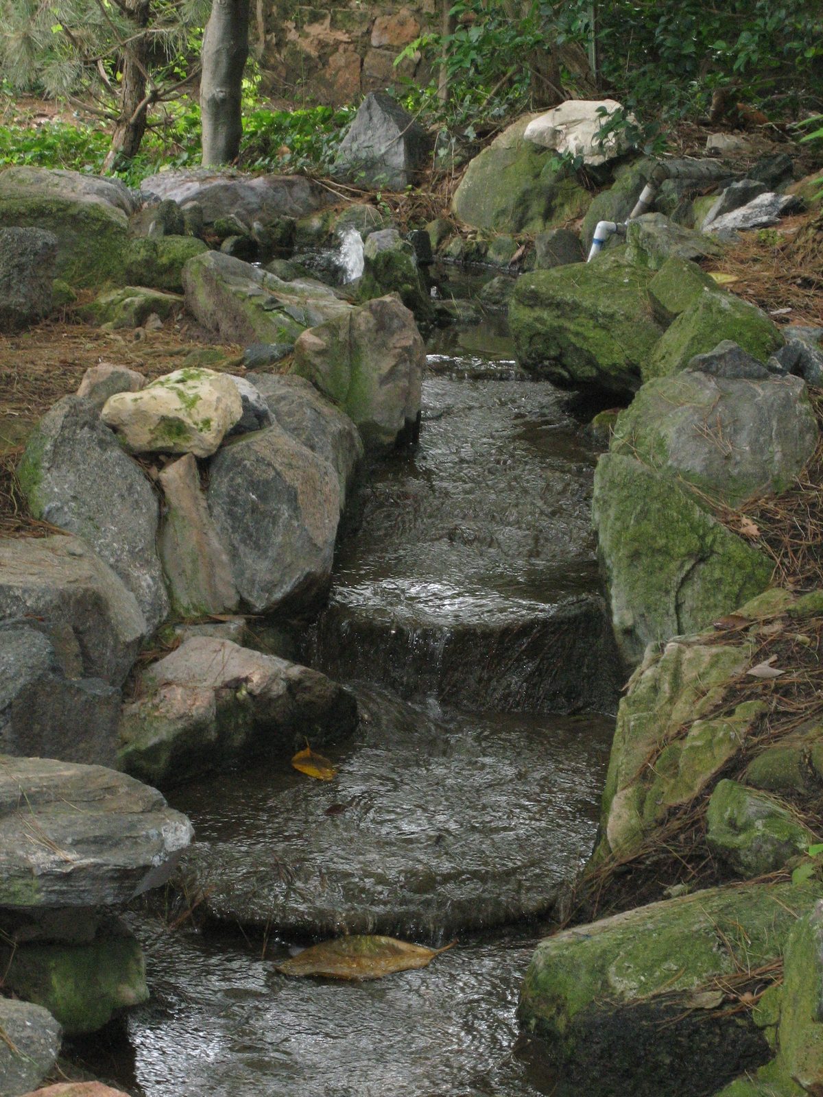 This is the kind of water sculpture that Mom wants in her backyard.  I like it, too.