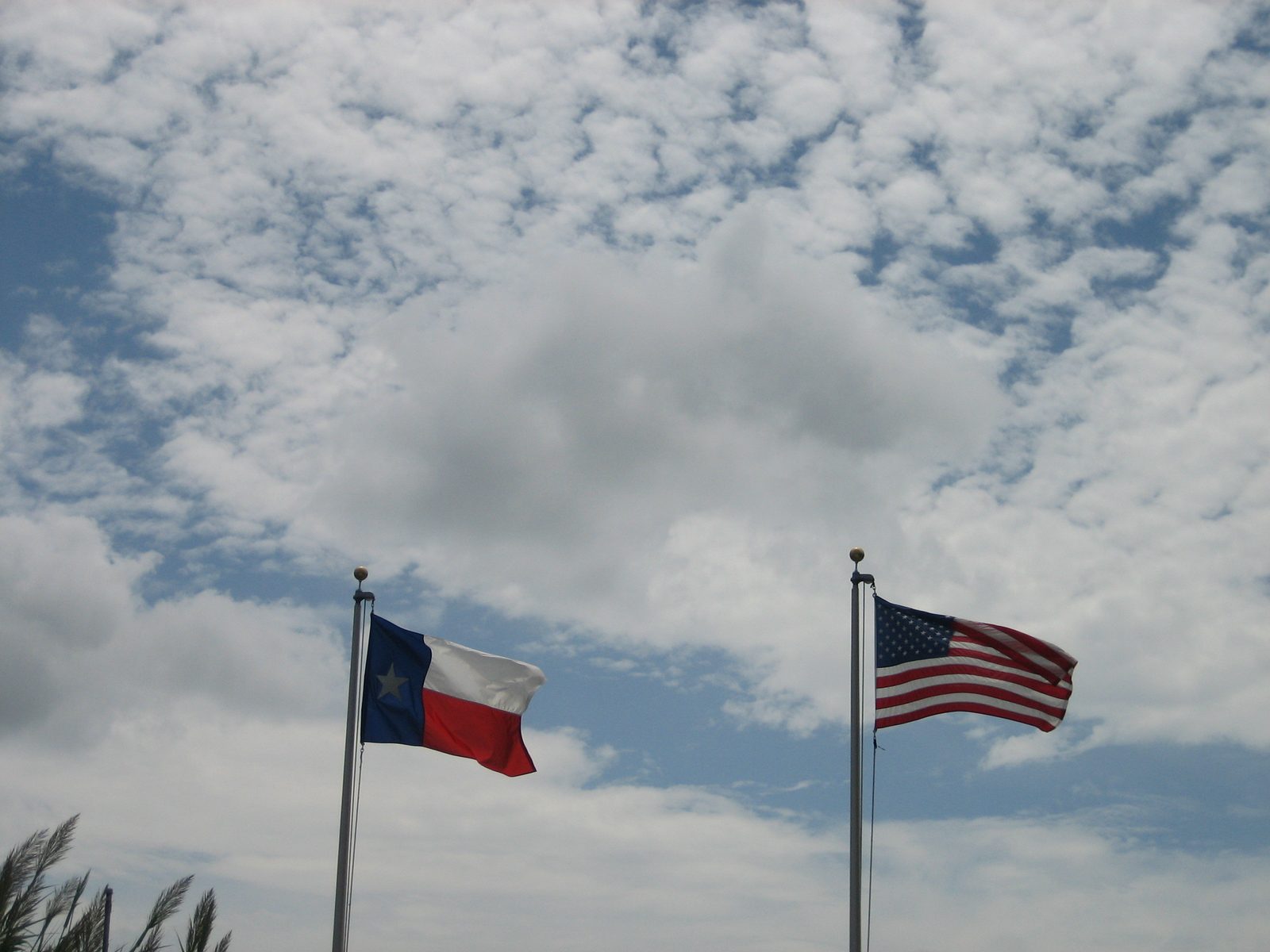Flags in the breeze.