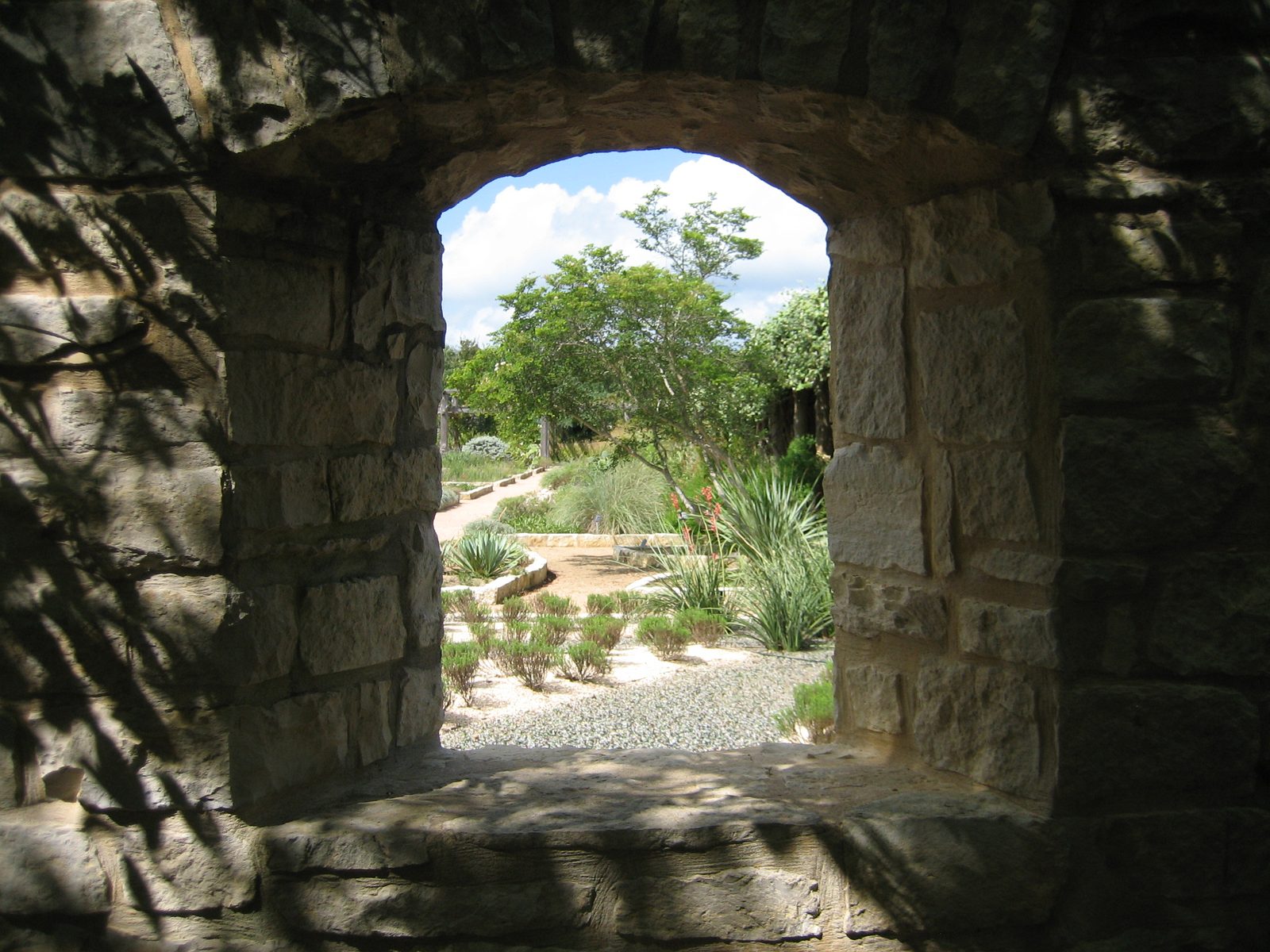 Looking into the experimental gardens.