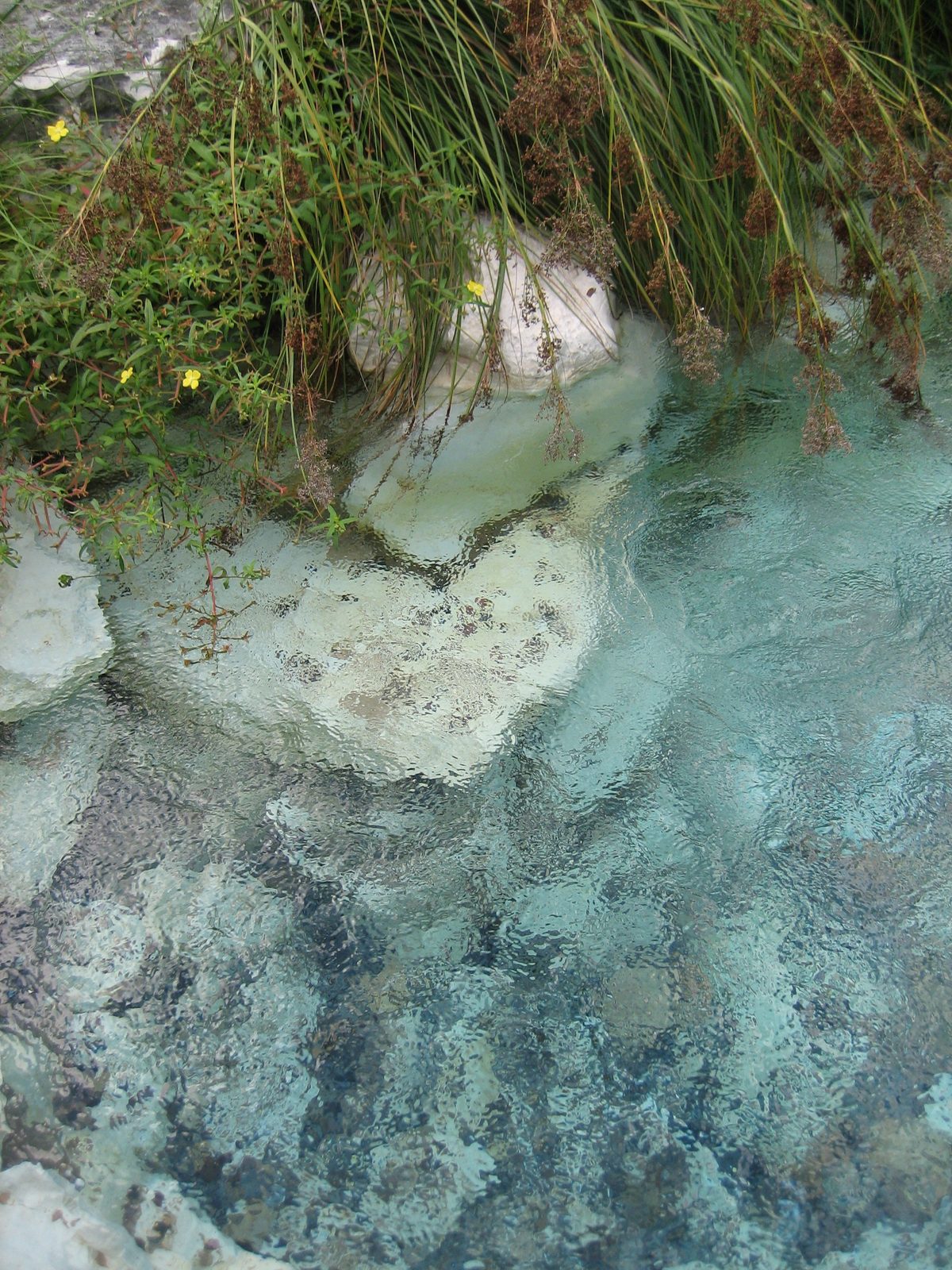 The clear, deep pond in the middle of the courtyard at the front of the center.  It looked like...