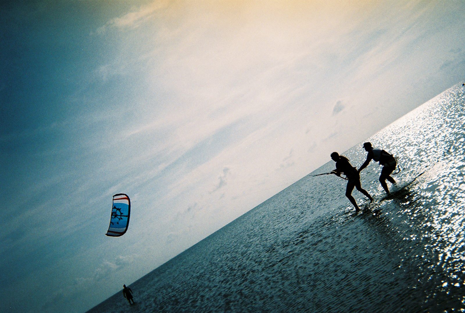 Tracy, maybe (??) tries not to get pulled away by the dive-bombing kite.