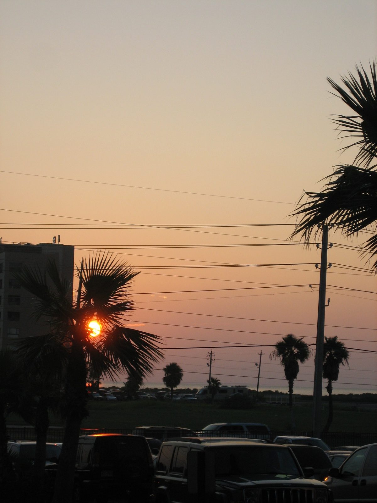 South Padre: land of palm trees, power and telephone wires, cars, and beautiful sunsets.
