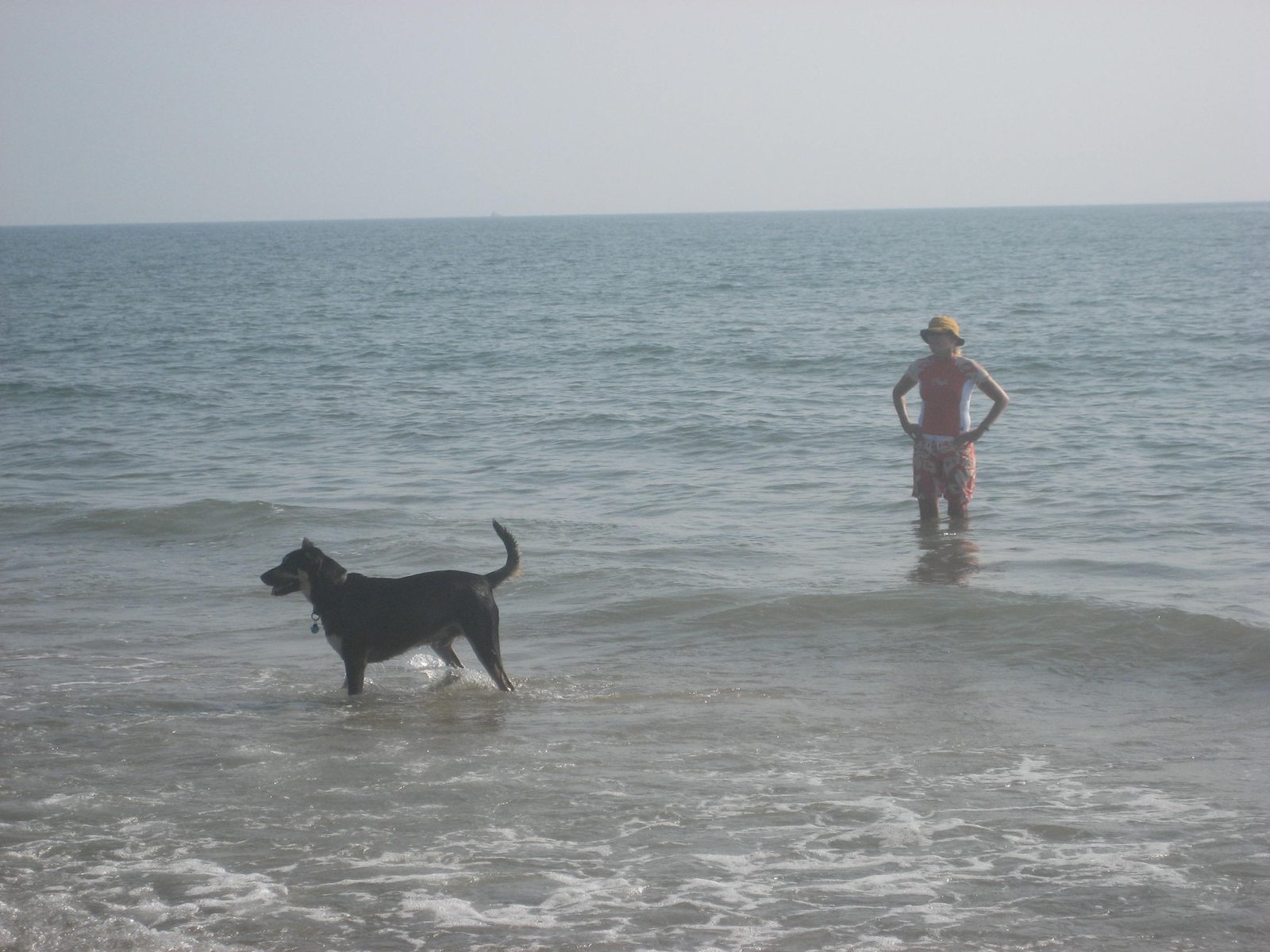 Pup and kiteboarding pro.
