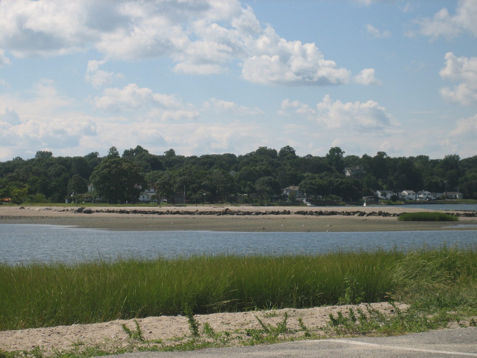Weed Beach