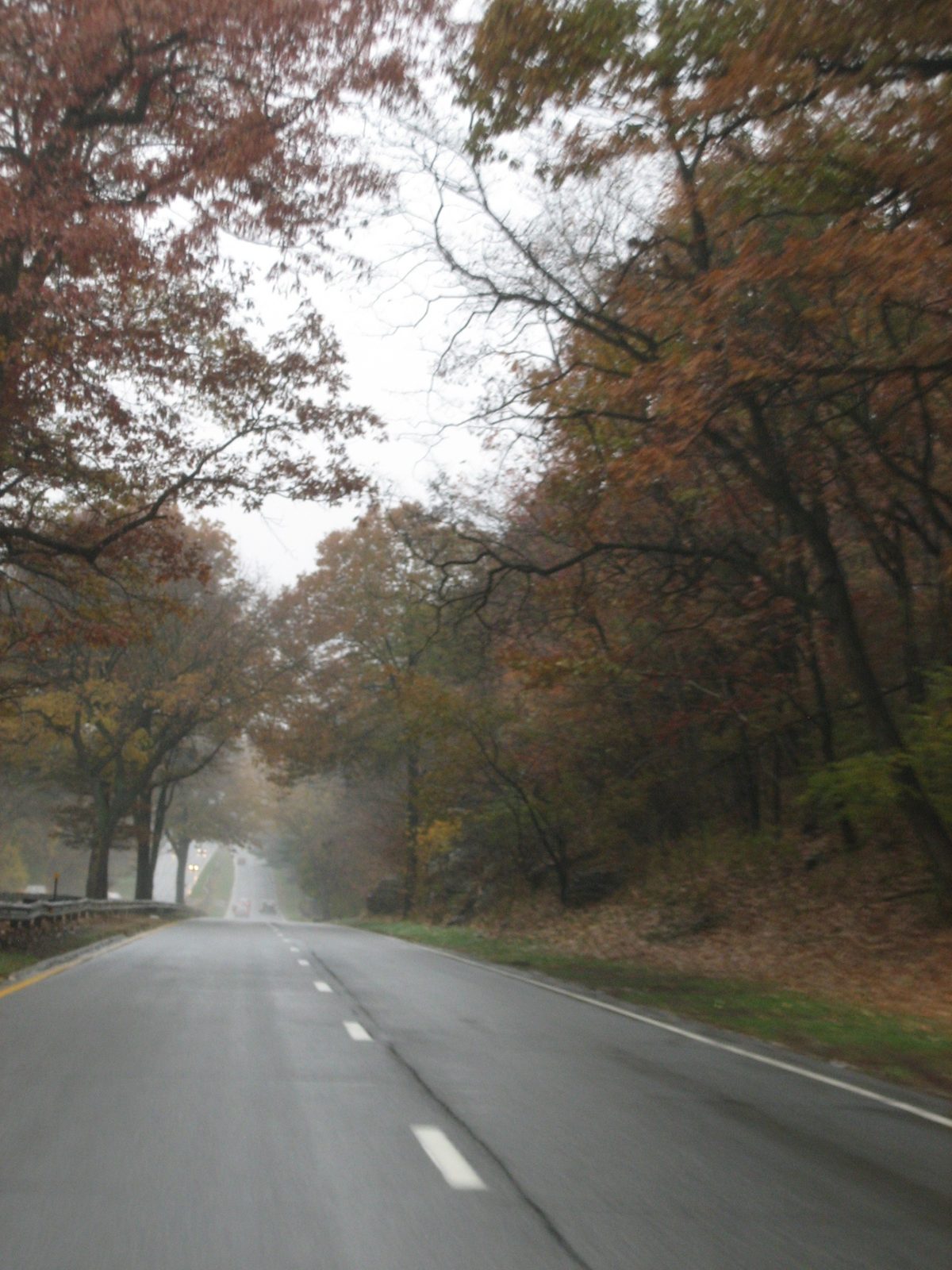 The Merritt Parkway.  Darien held on to its fall leaves just for us!