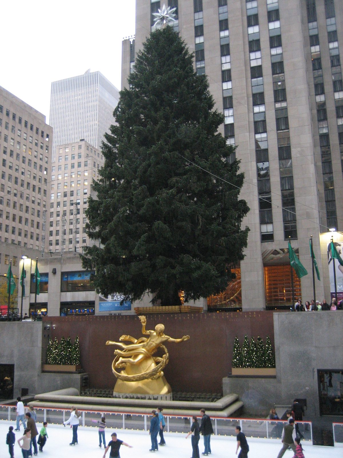 Rockefeller Christmas tree, not yet lit.