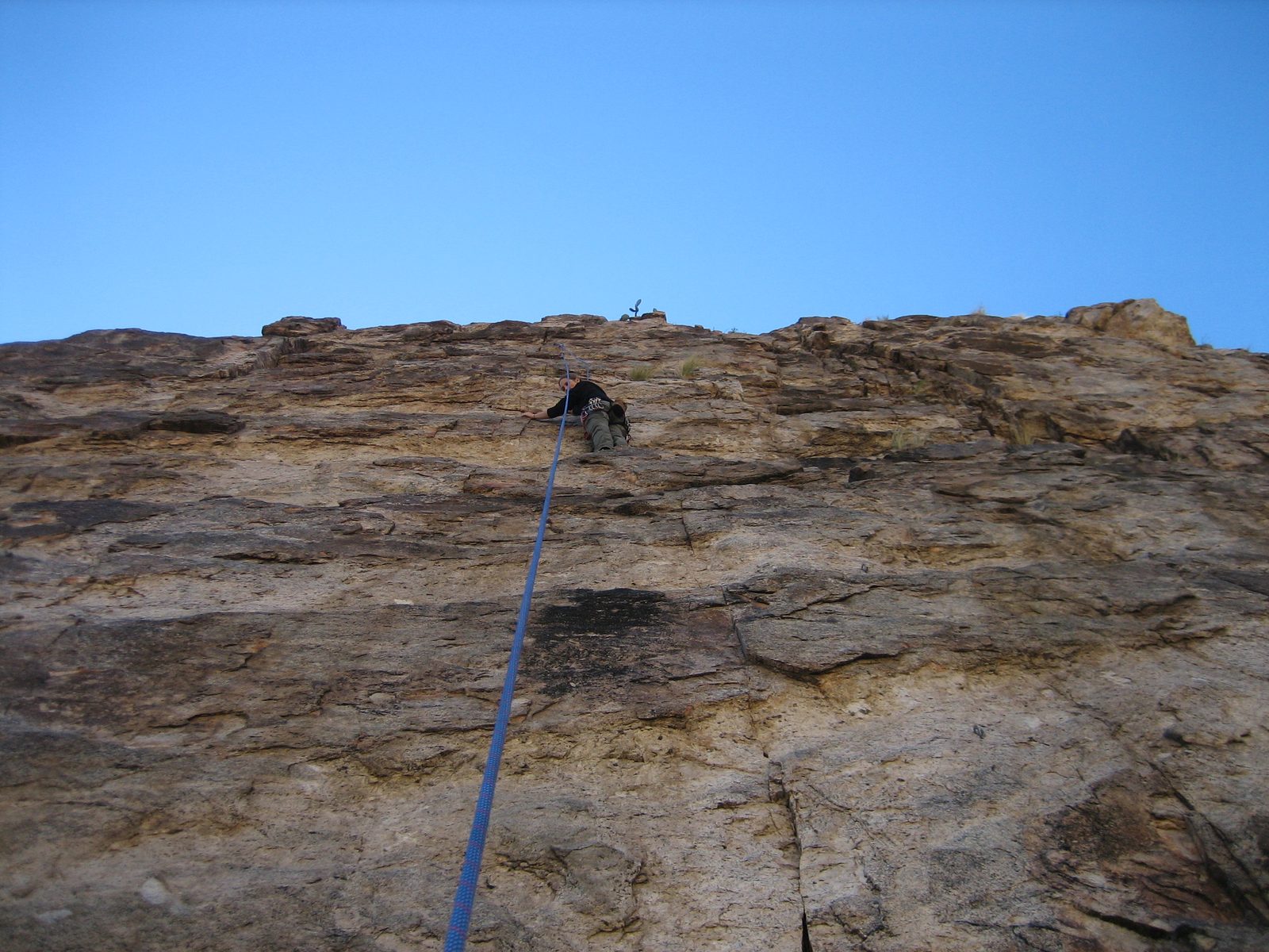 Catherine begins climbing again, with a prickly pear cactus standing watch above her.