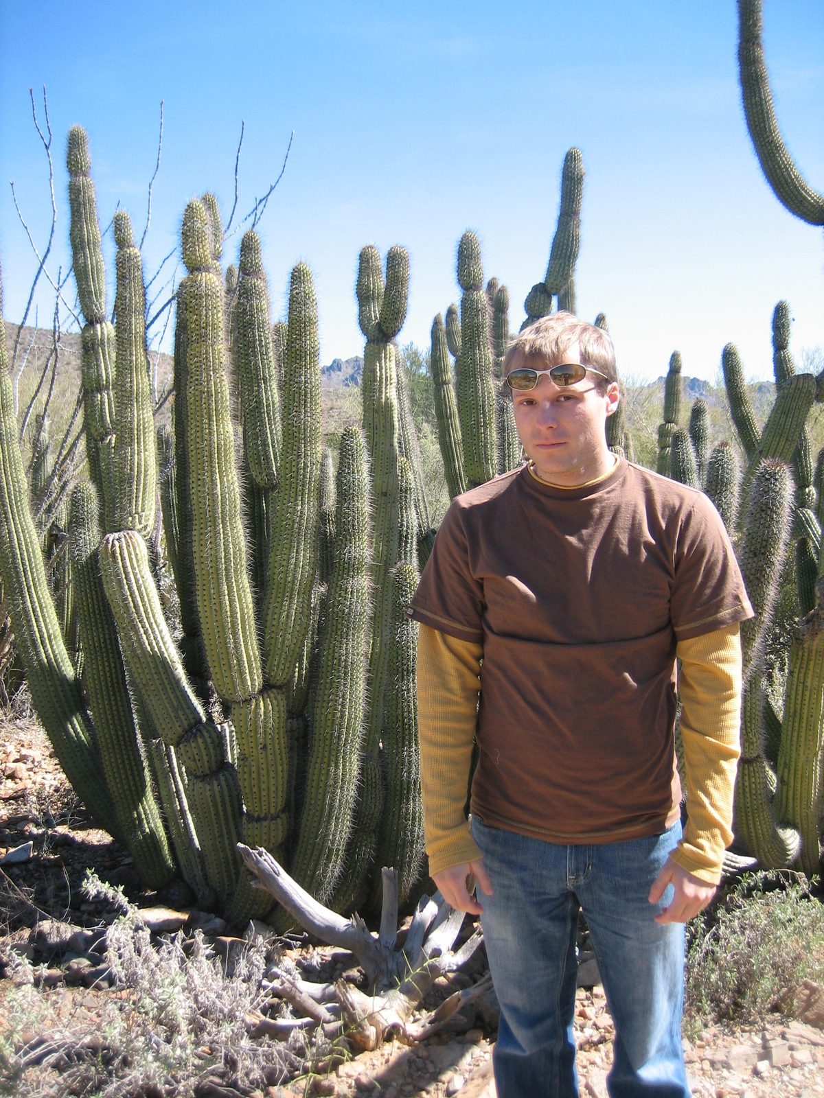 John apparently no like the organ pipe cactus he originally did like.