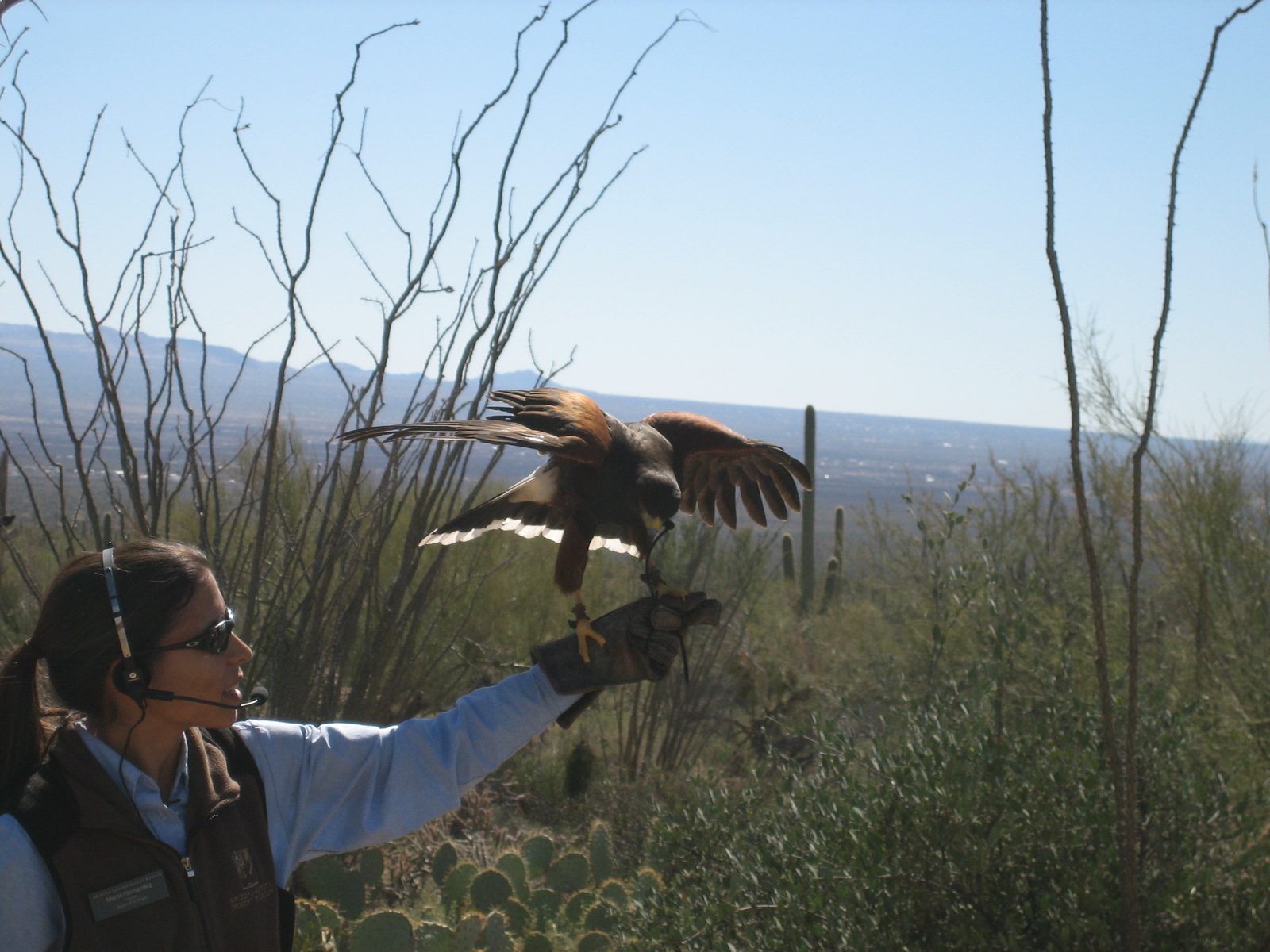 We are still in debates as to whether these birds are held captive or not... Either way, they...