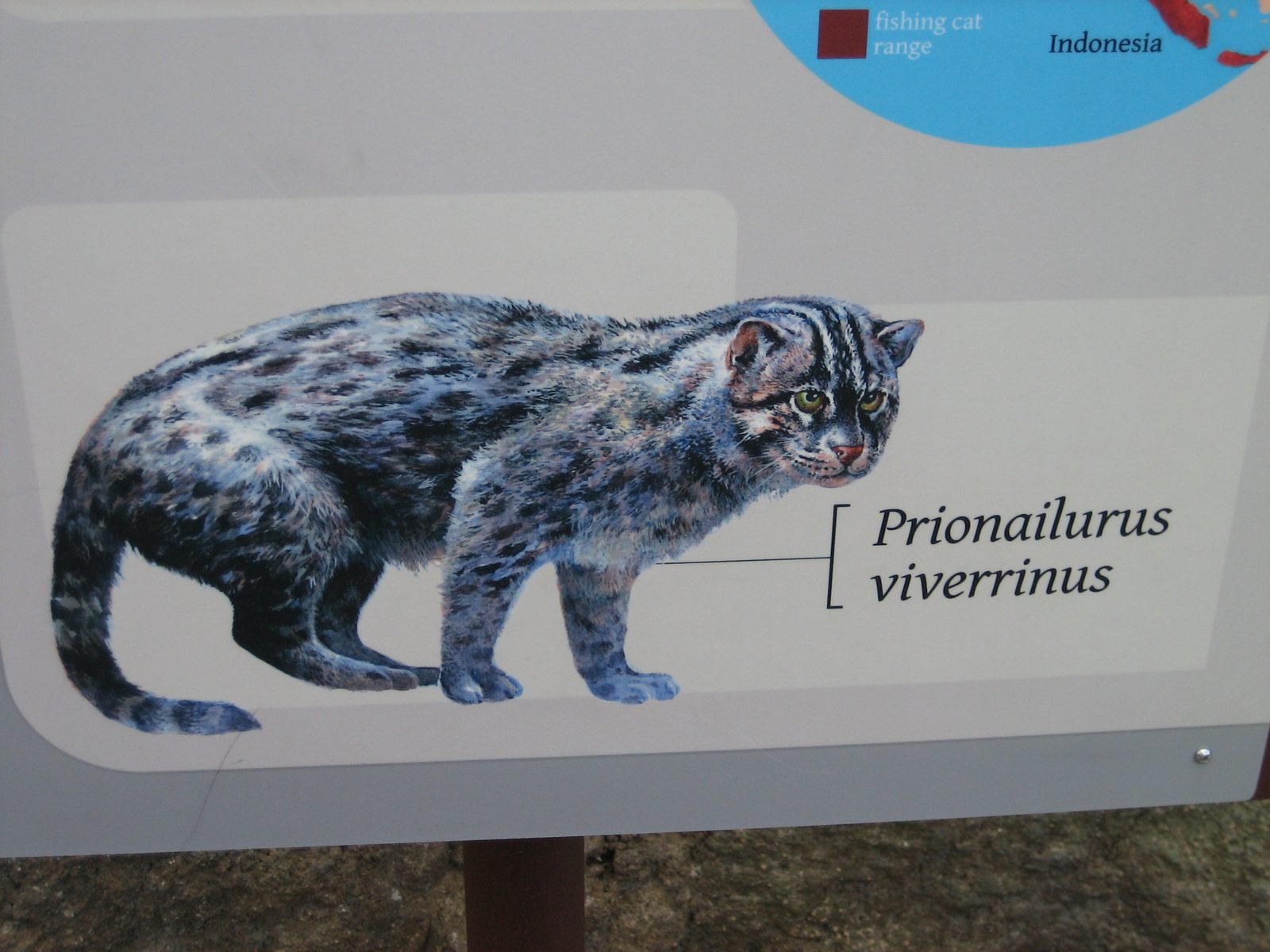 Aw, little putty tat.