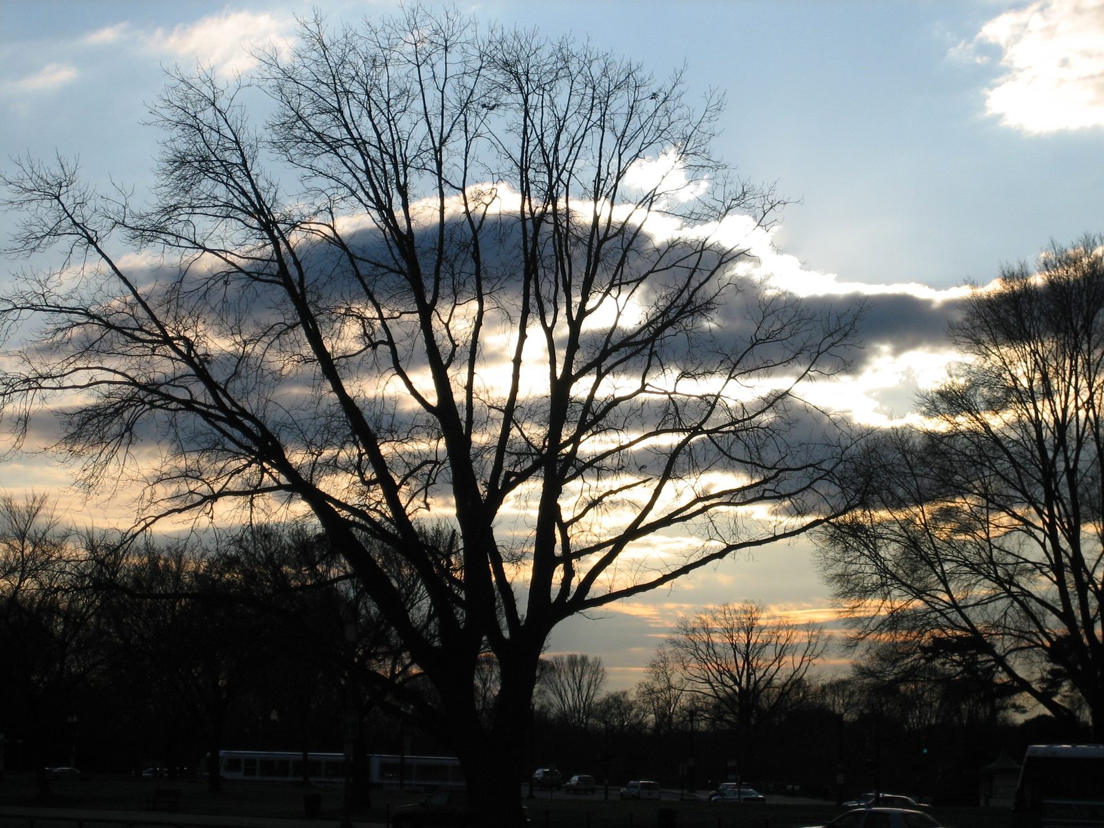 Goodbye, DC!